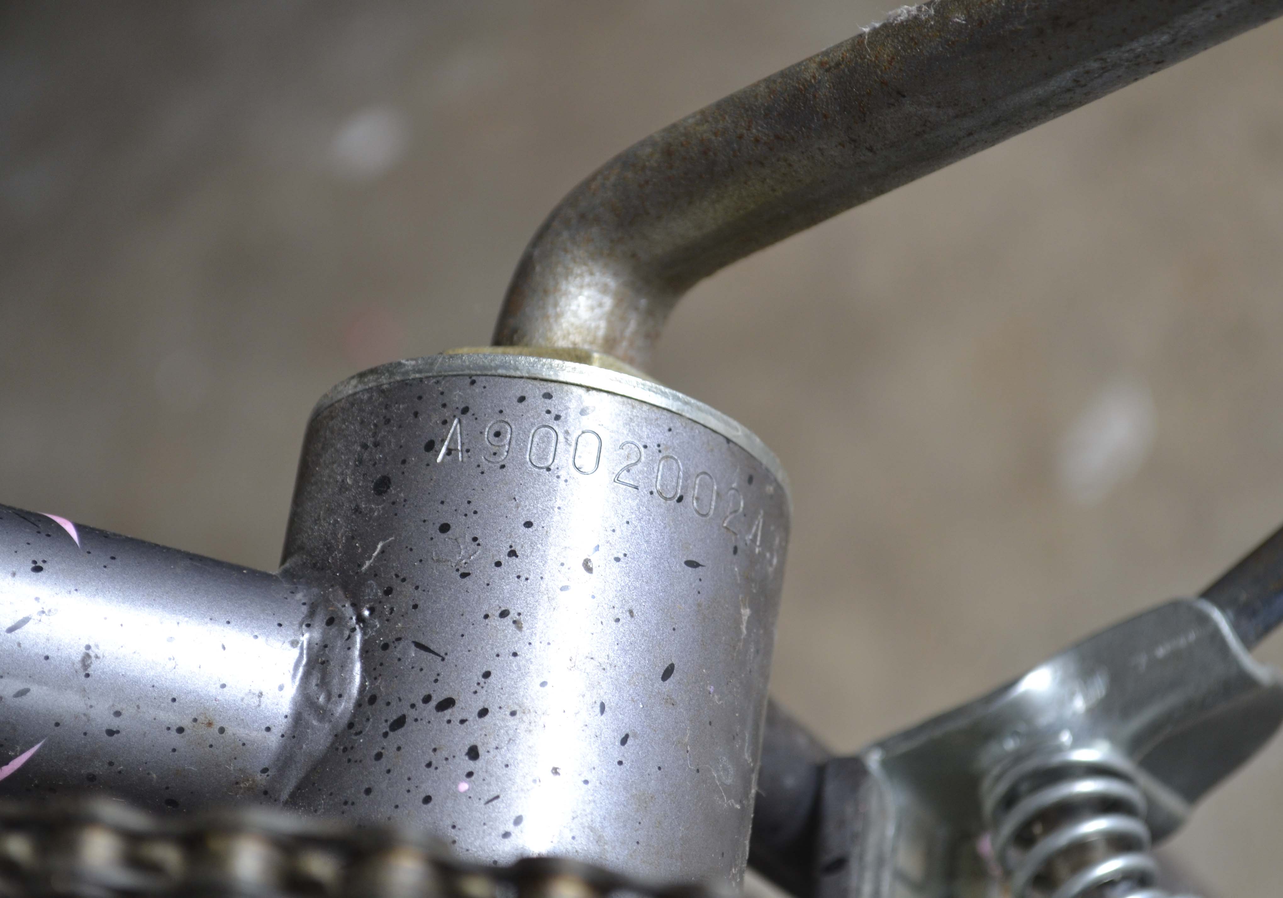 Mango Conure Women's Bicycle