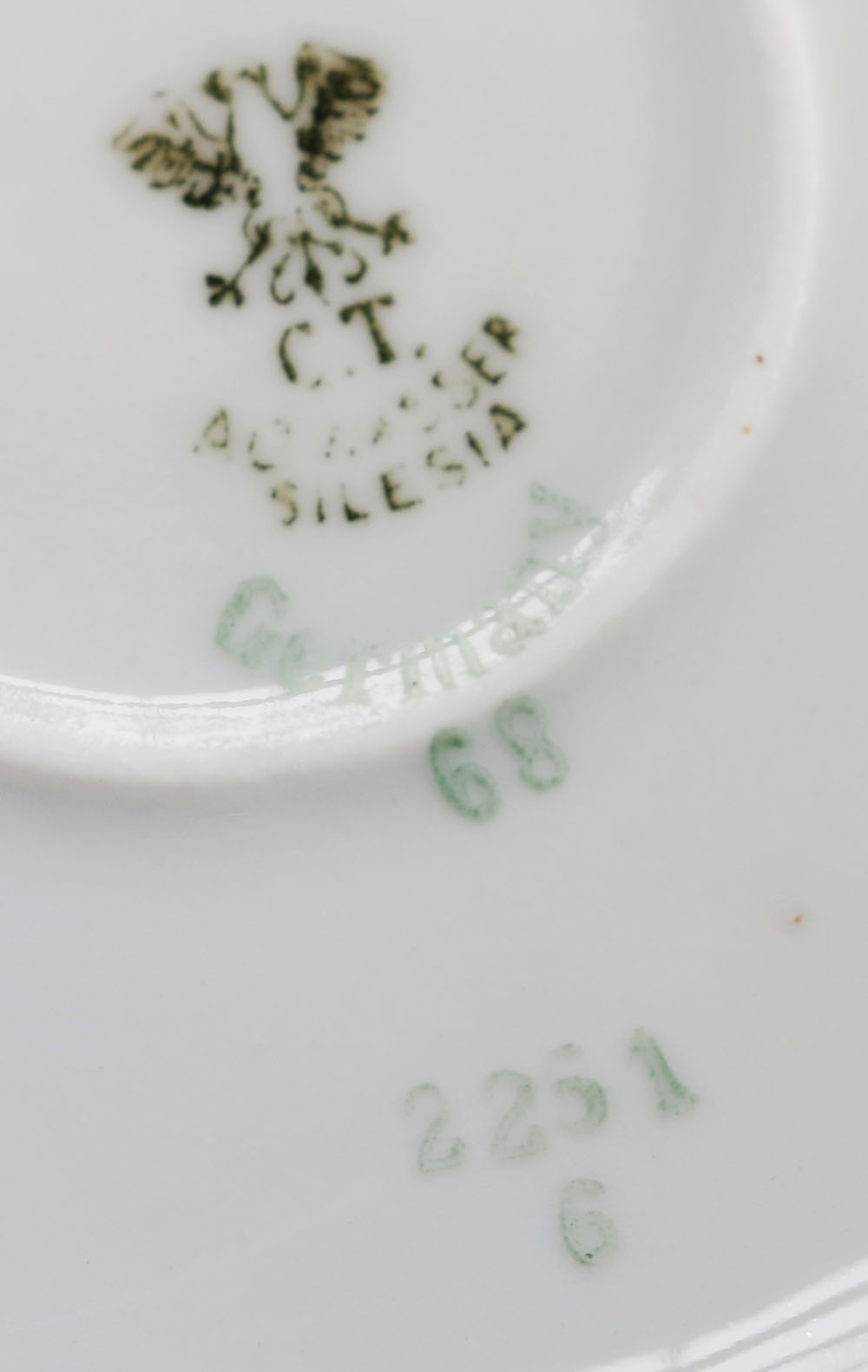 C. Tielsch Altwasser Silesia China Set