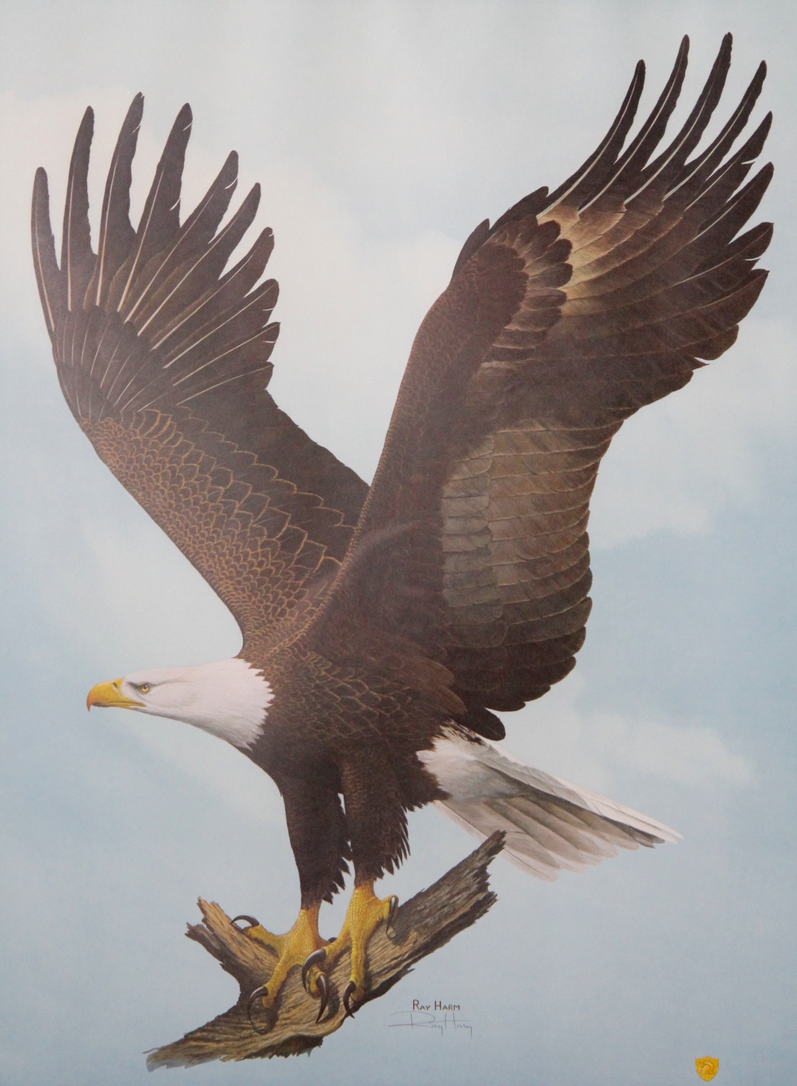 Ray Harm Signed Offset Lithograph West Point Edition Eagle