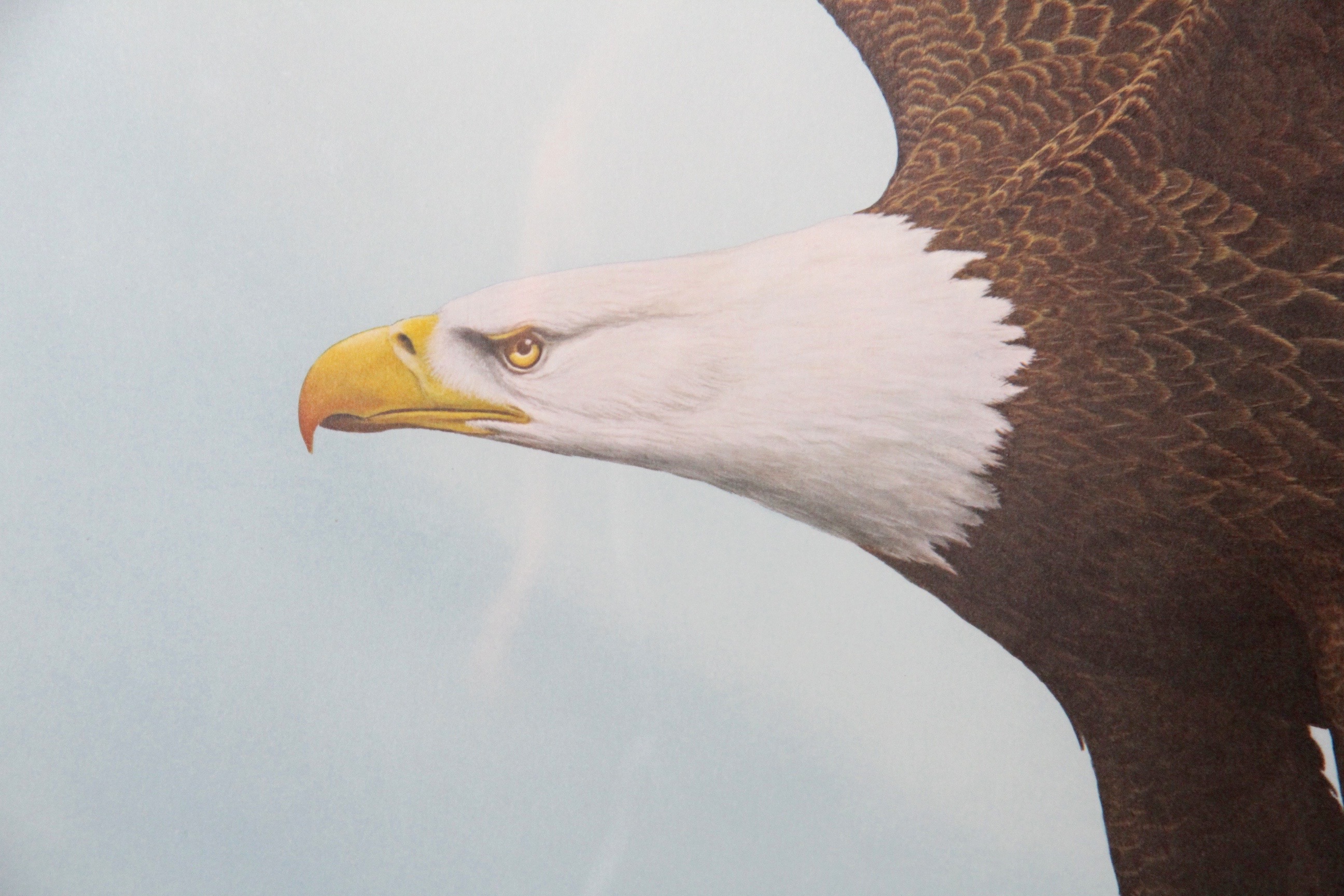Ray Harm Signed Offset Lithograph West Point Edition Eagle
