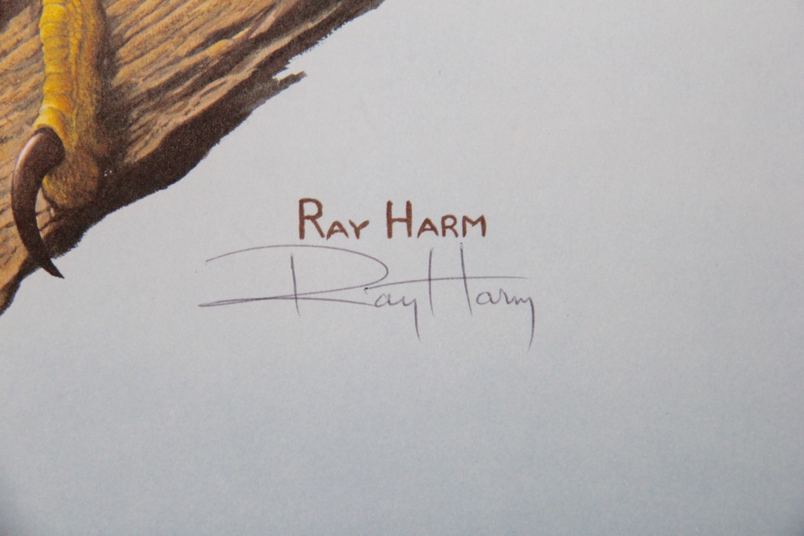 Ray Harm Signed Offset Lithograph West Point Edition Eagle
