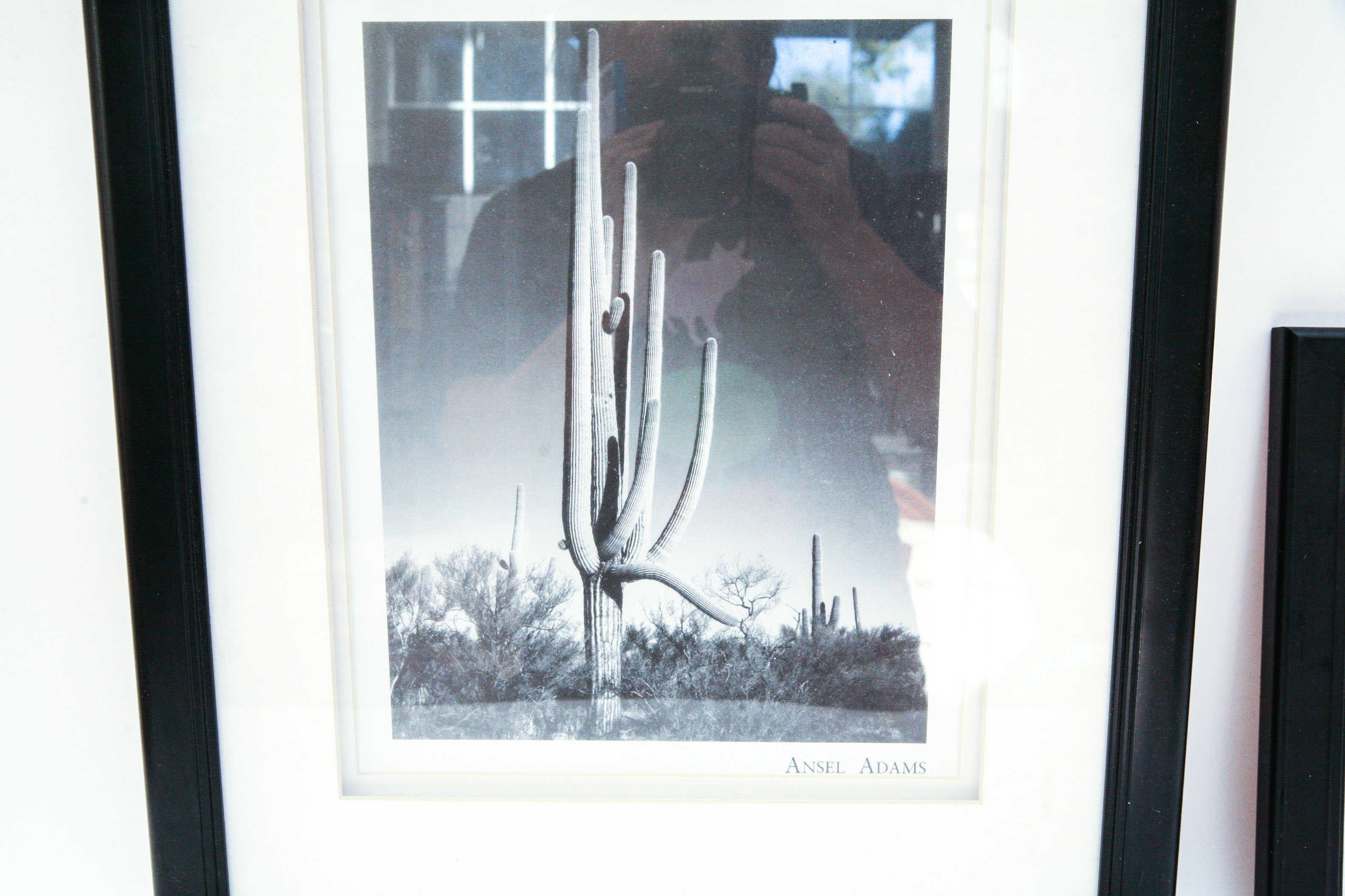 Three Ansel Adams Prints and One Joe Hoynik Photograph