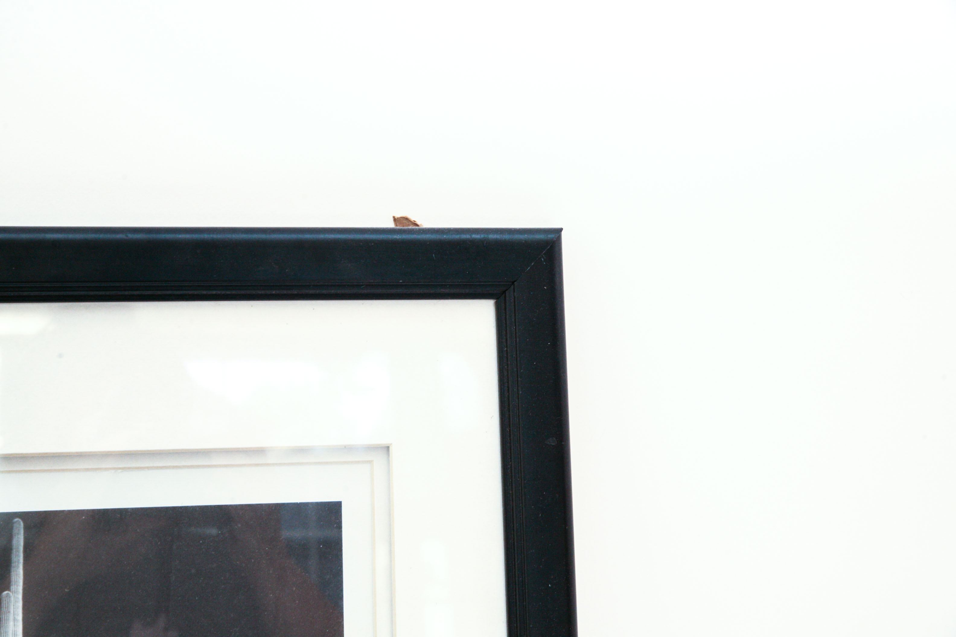 Three Ansel Adams Prints and One Joe Hoynik Photograph