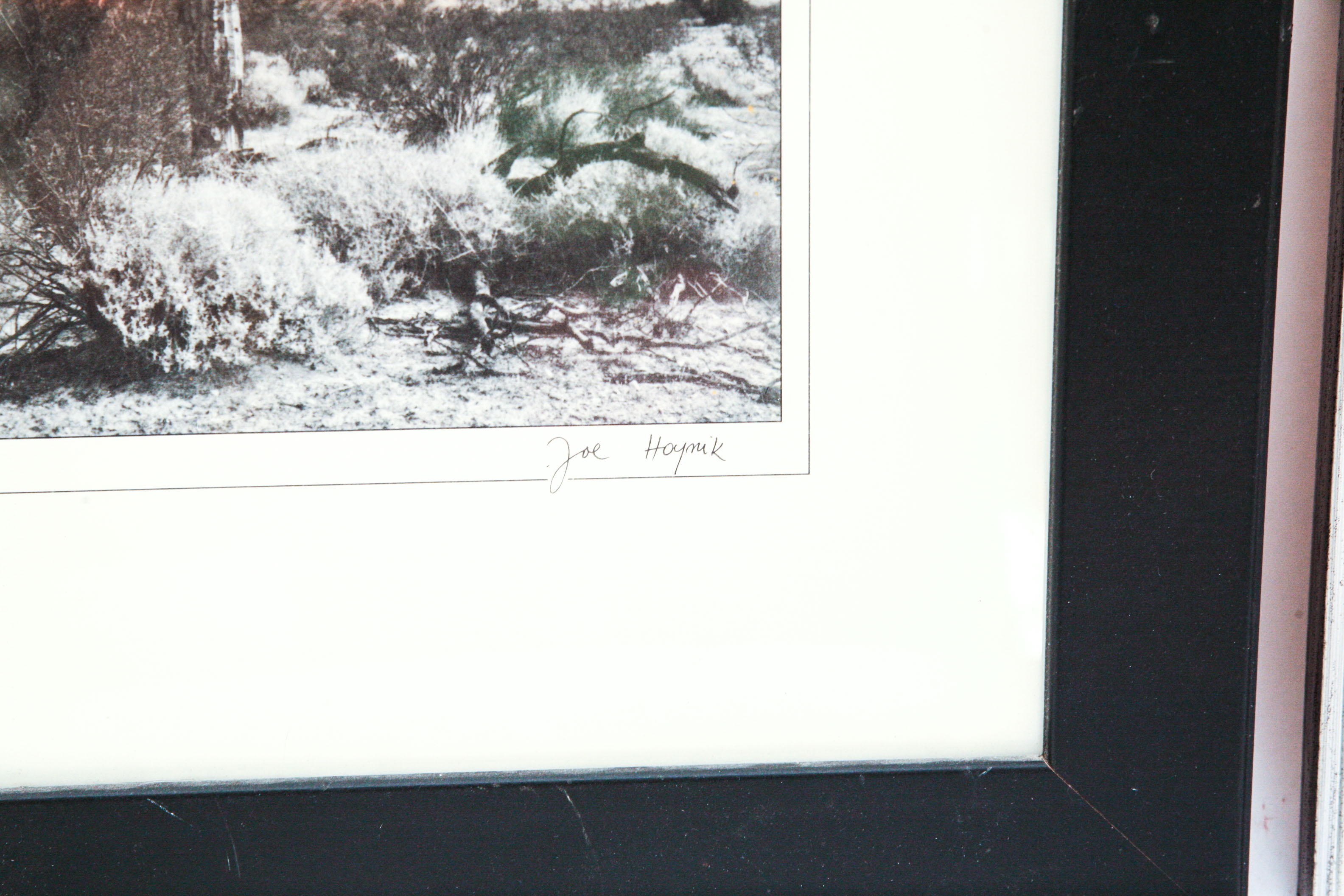 Three Ansel Adams Prints and One Joe Hoynik Photograph