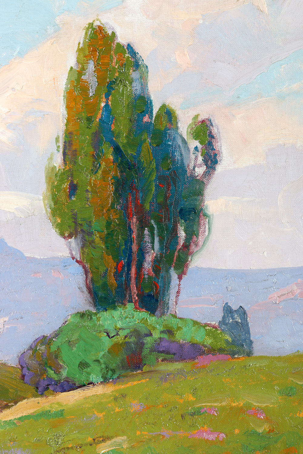 "Early Spring, Verdugo Hills" by Dana Bartlett