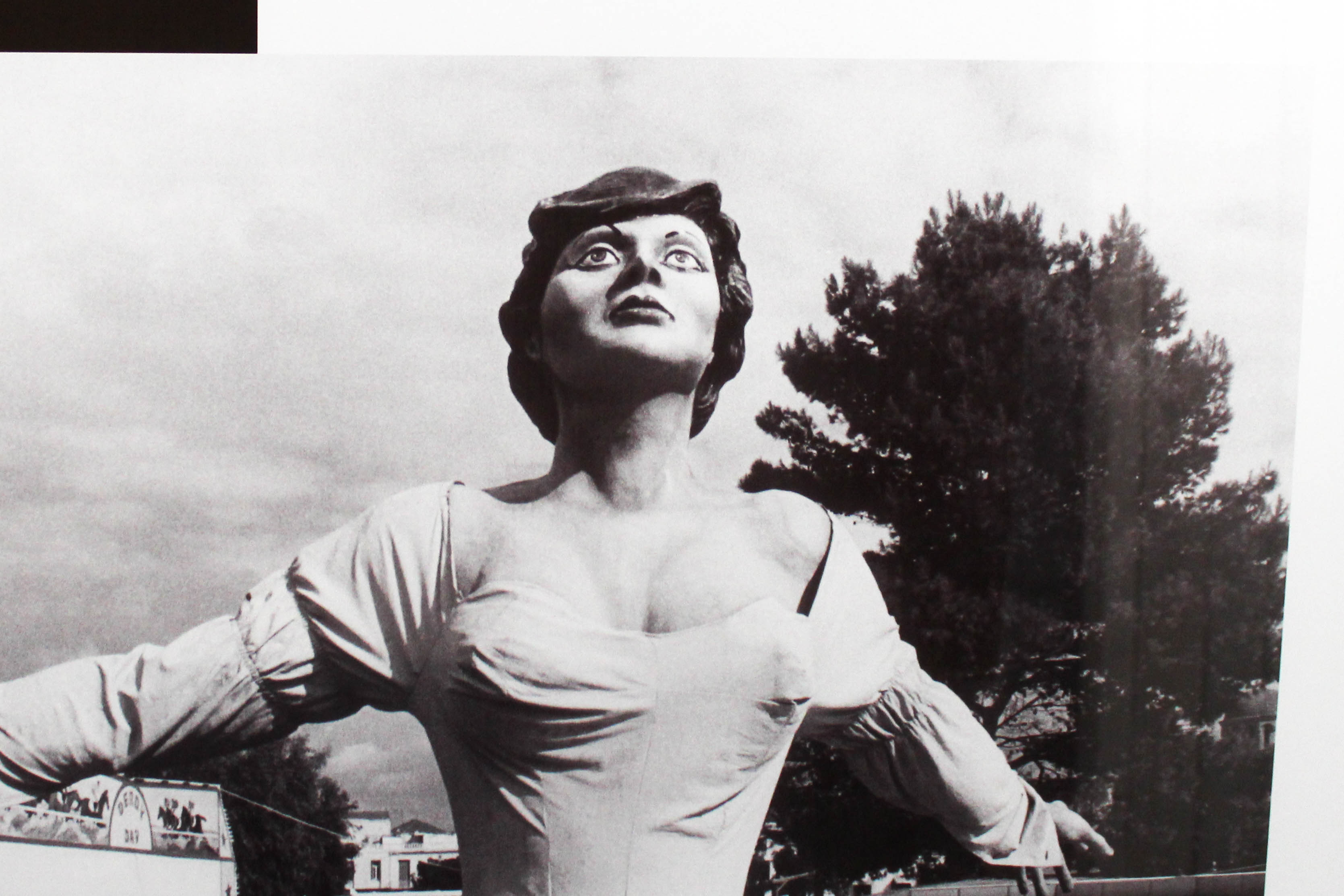 "Positively Alive: The Photographs of Maureen France" Lithographic Exhibition Poster