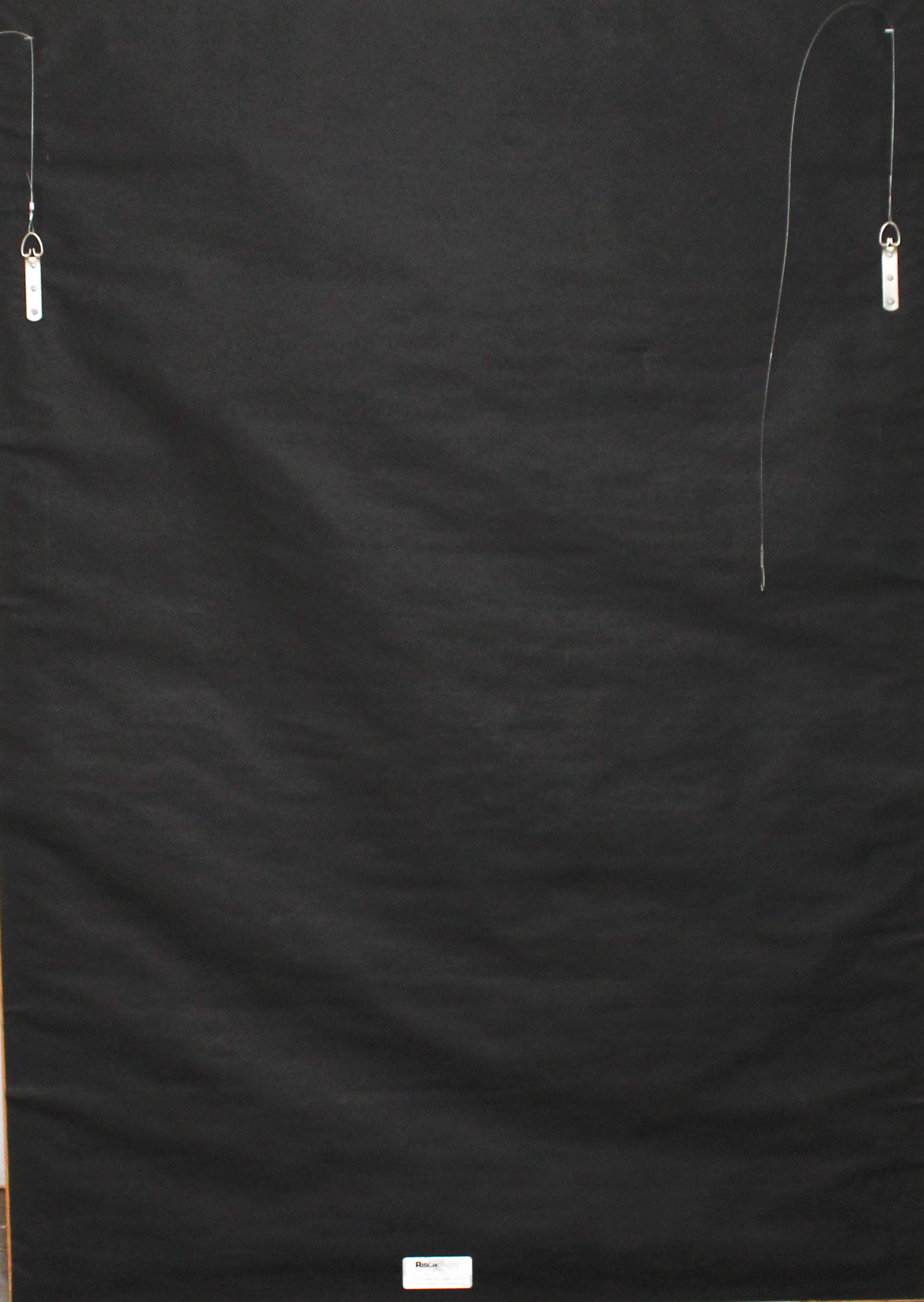 "Positively Alive: The Photographs of Maureen France" Lithographic Exhibition Poster