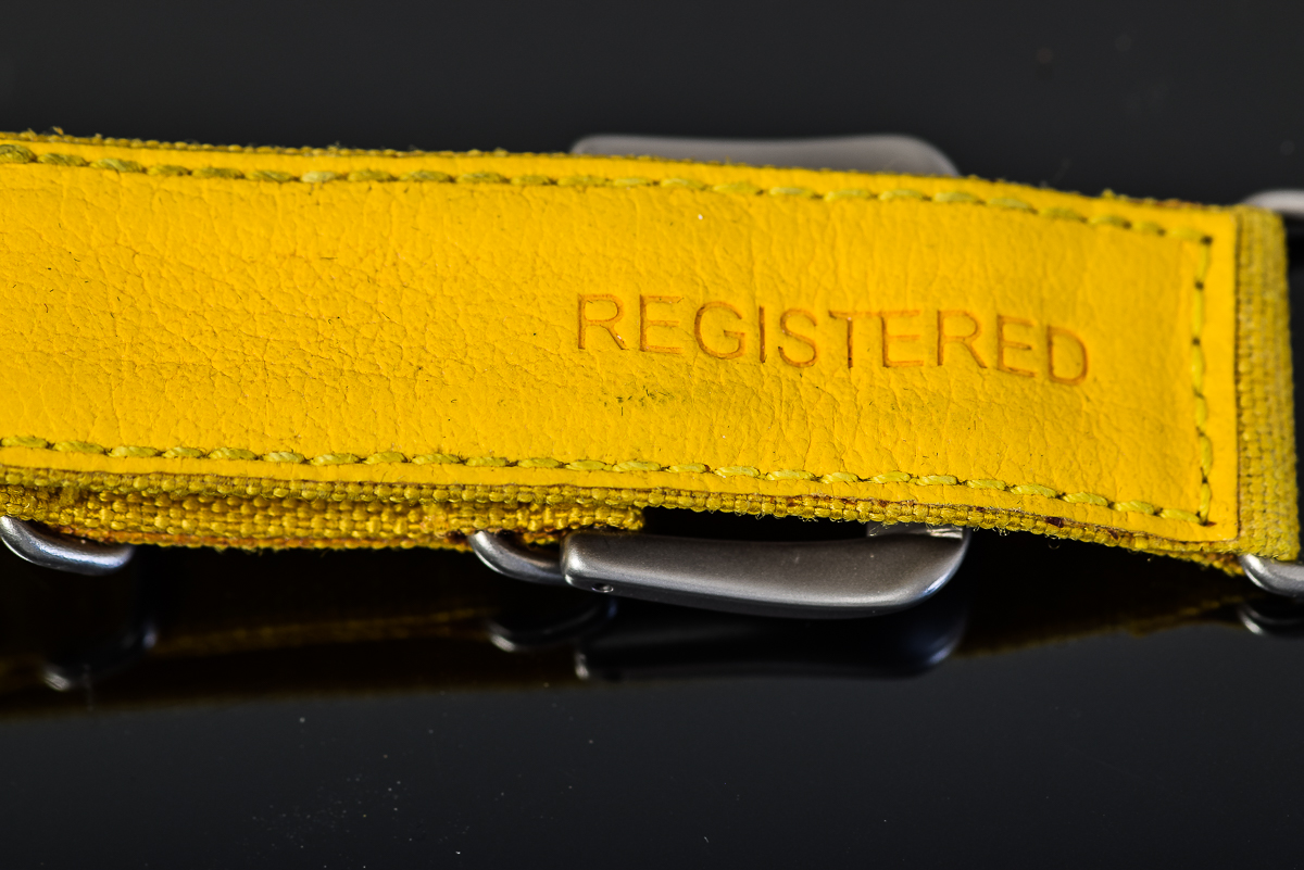 Men's Locman Nuovo Carbonio Watch with Yellow Dial and Cordura Strap