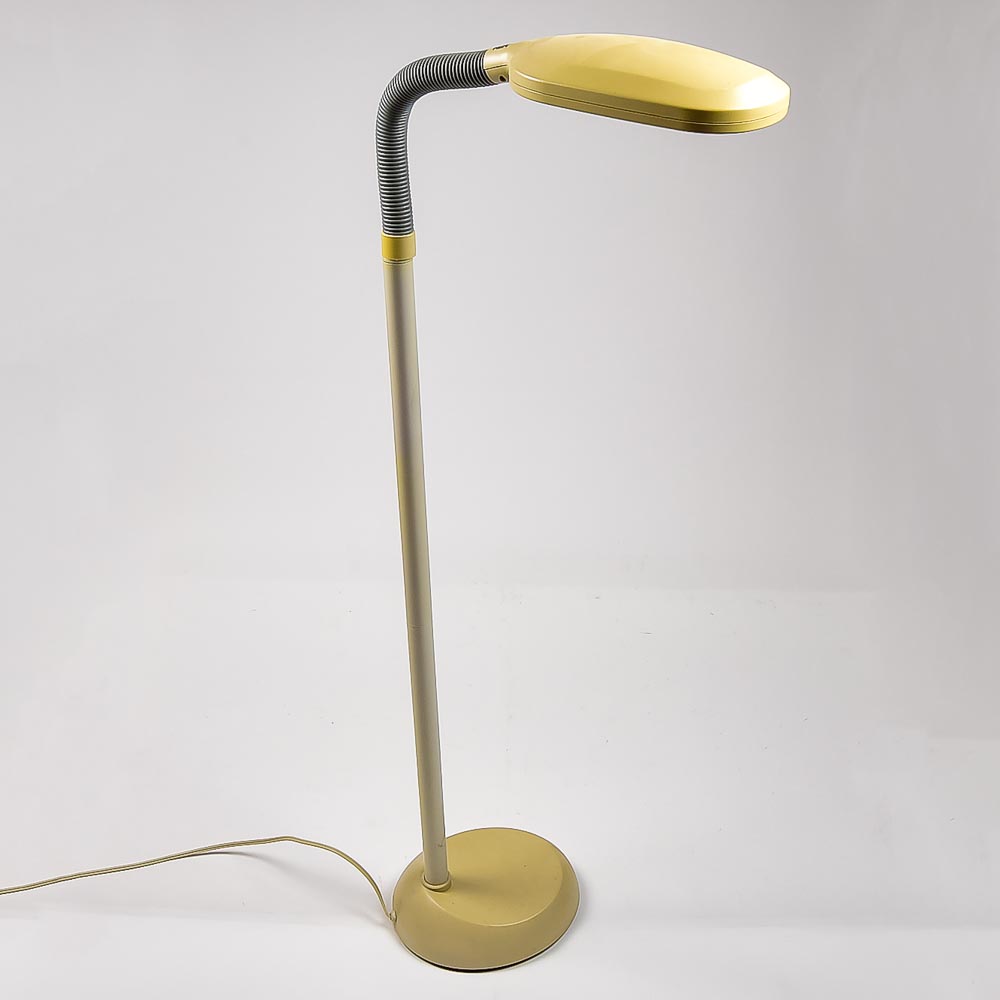 Adjustable Floor Lamp