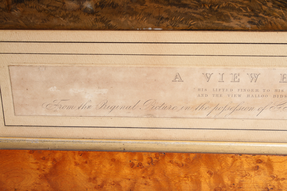 Victorian Color Engraving "A View Halloo"