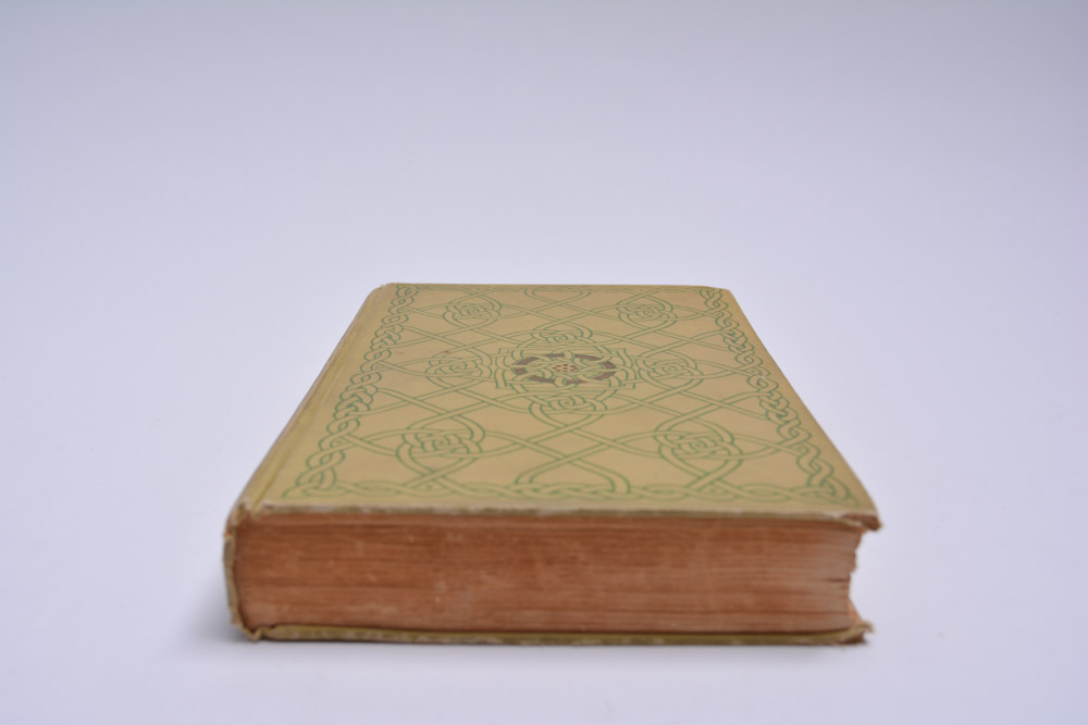 "The Intelligent Woman's Guide to Socialism and Capitalism" 1928 First Edition