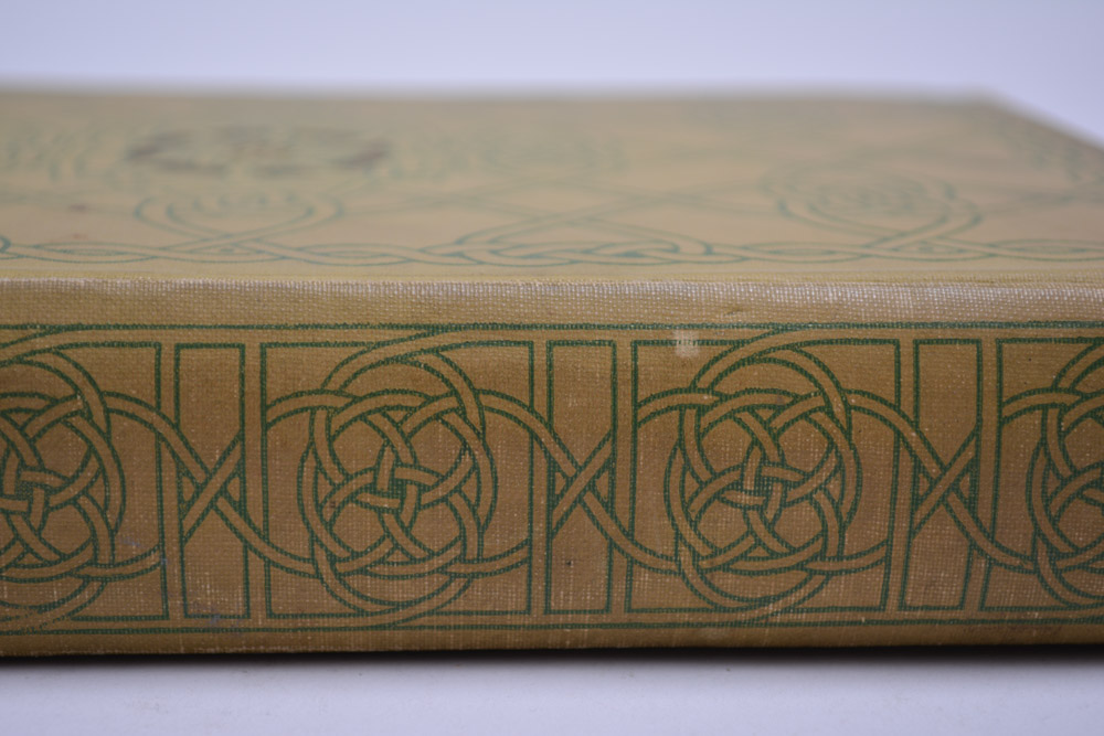 "The Intelligent Woman's Guide to Socialism and Capitalism" 1928 First Edition