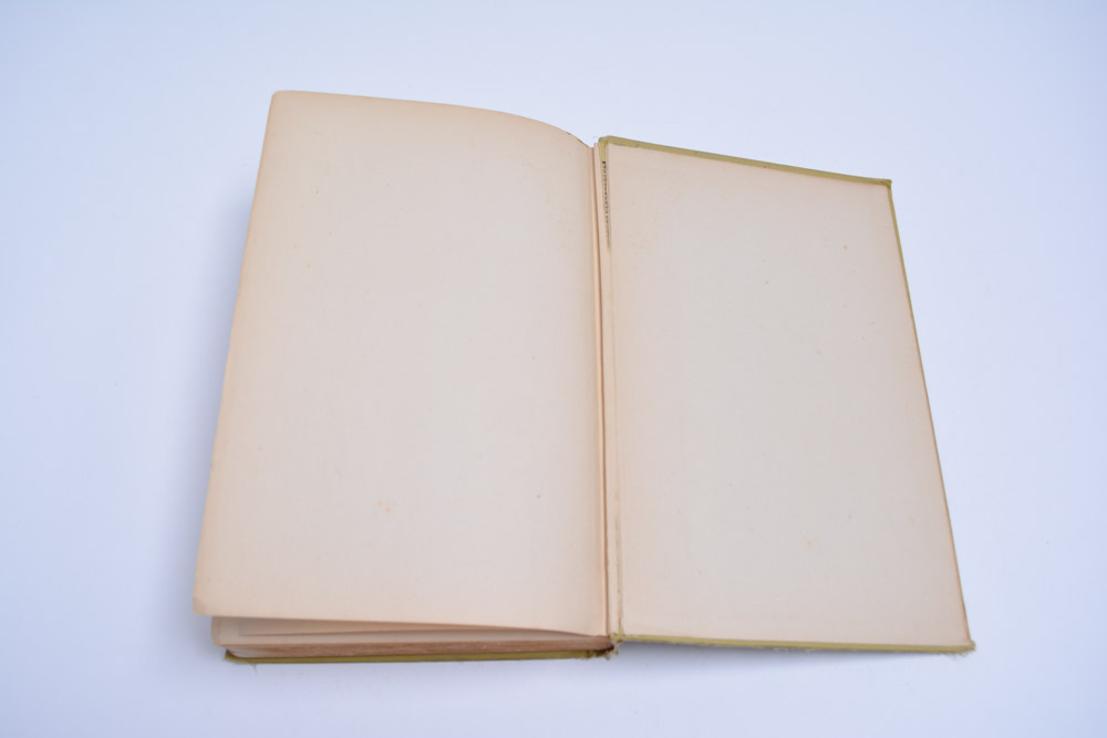 "The Intelligent Woman's Guide to Socialism and Capitalism" 1928 First Edition