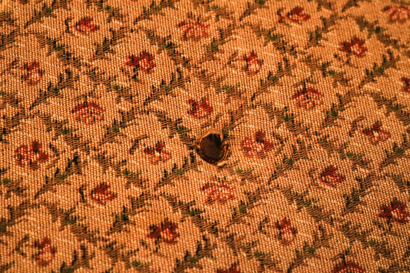 Vintage Fainting Couch