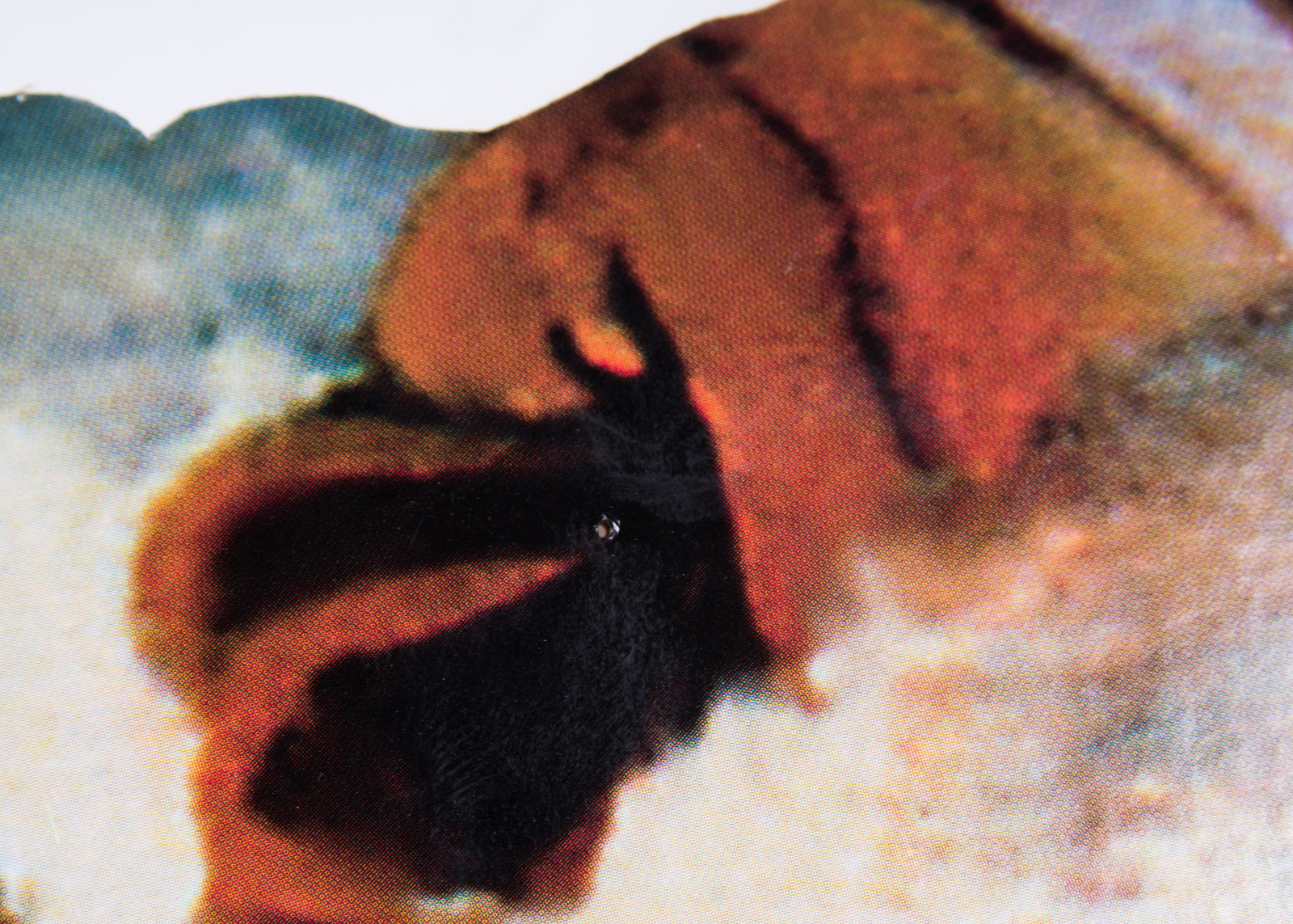 Coca-Cola Santa Claus Standee