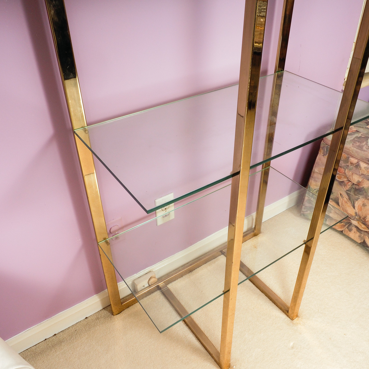 Glass and Brass Frame Bookshelf