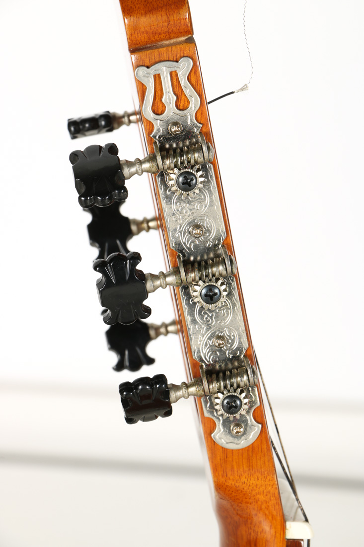 Vintage Alvarez Classical Guitar and Case