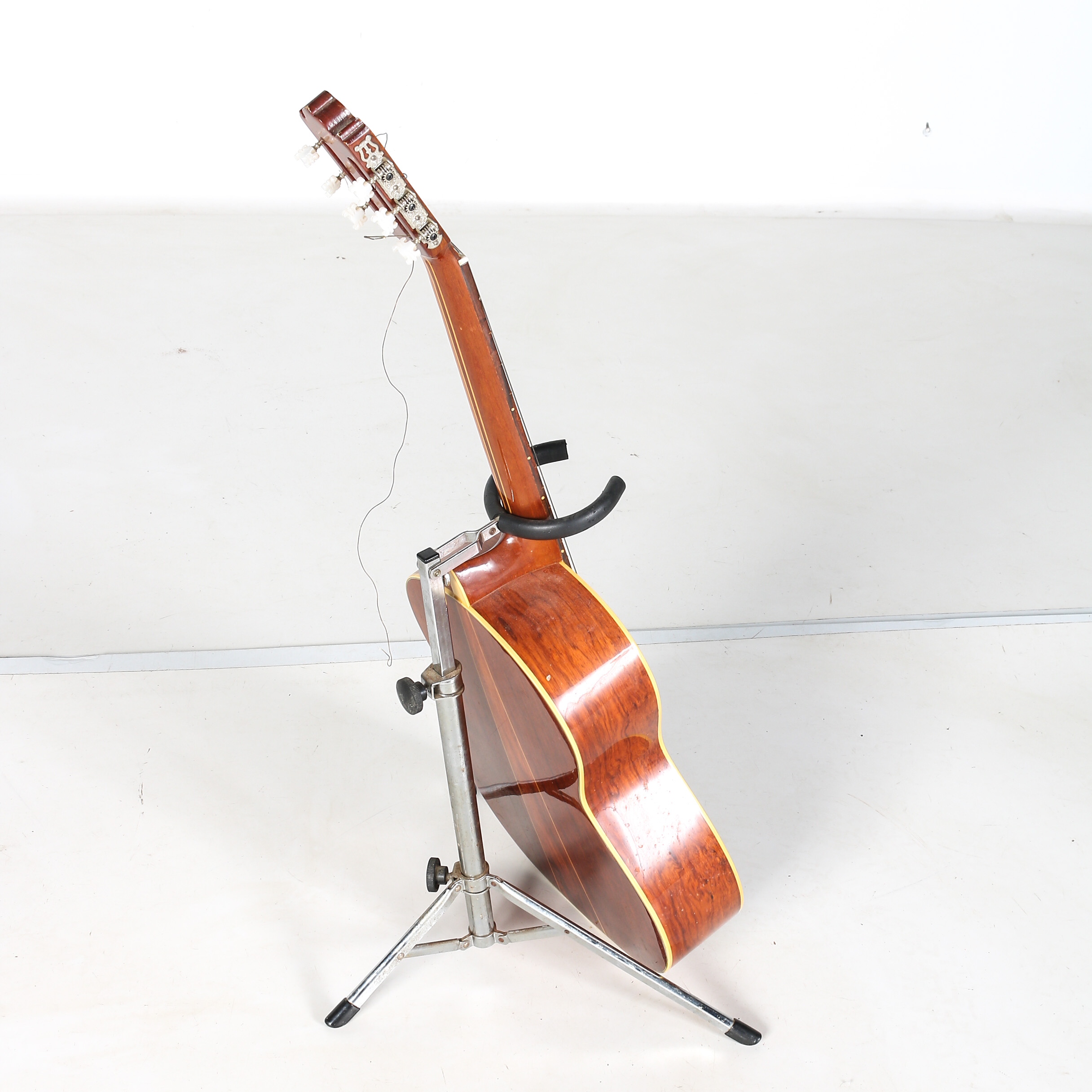 Selva Negra Mexicana Tres Pinos Classical Style Acoustic Guitar