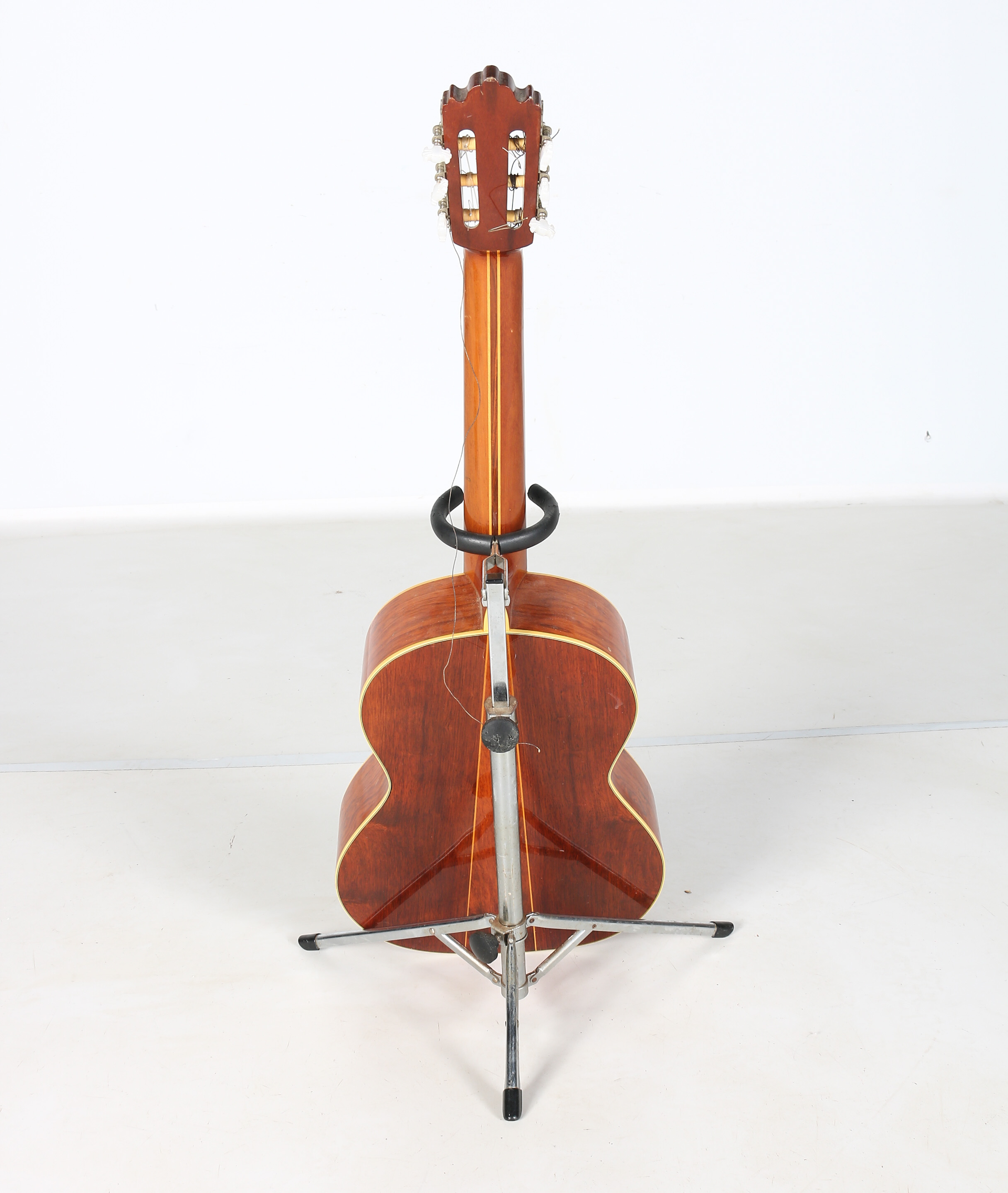 Selva Negra Mexicana Tres Pinos Classical Style Acoustic Guitar