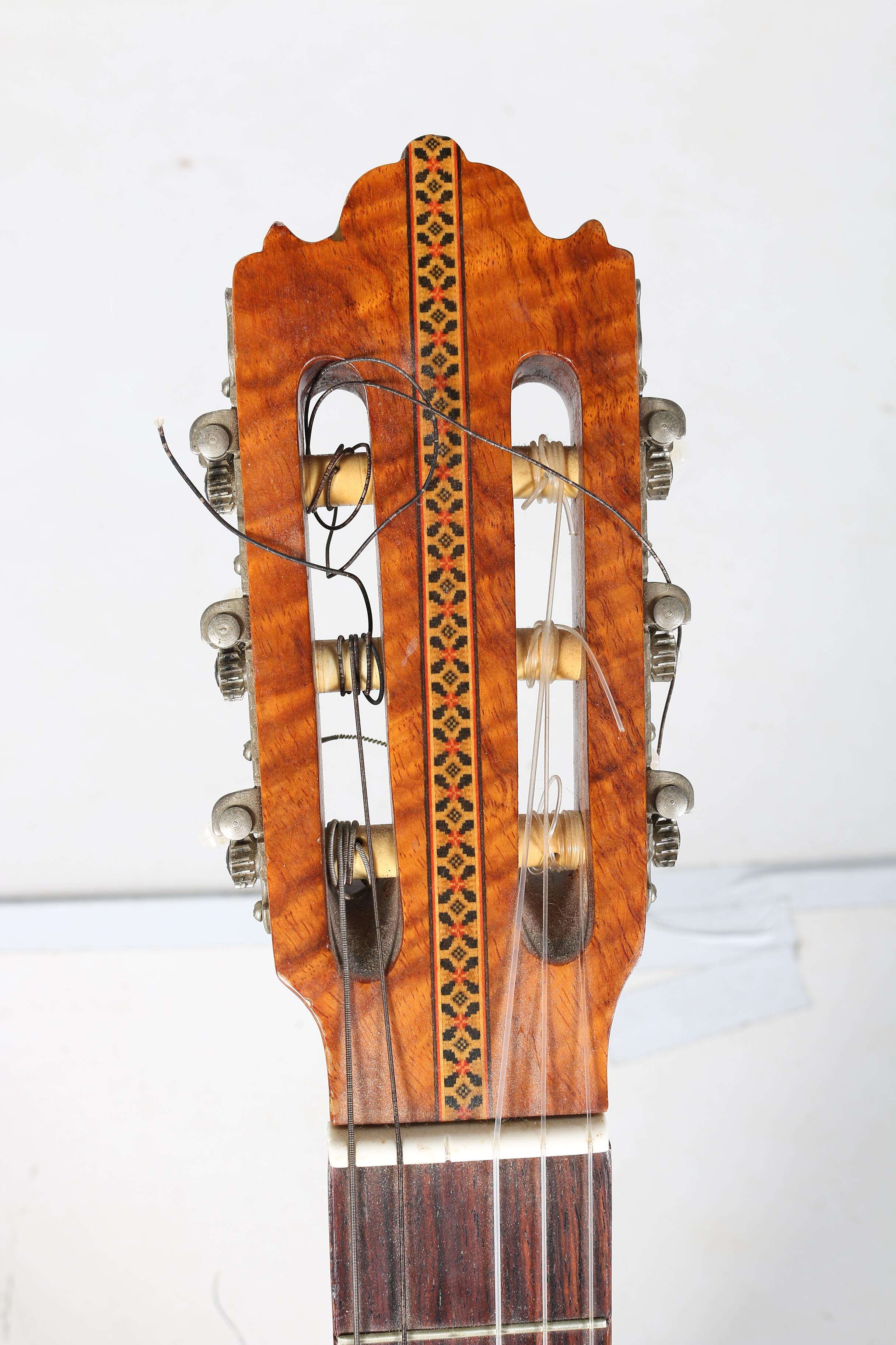 Selva Negra Mexicana Tres Pinos Classical Style Acoustic Guitar