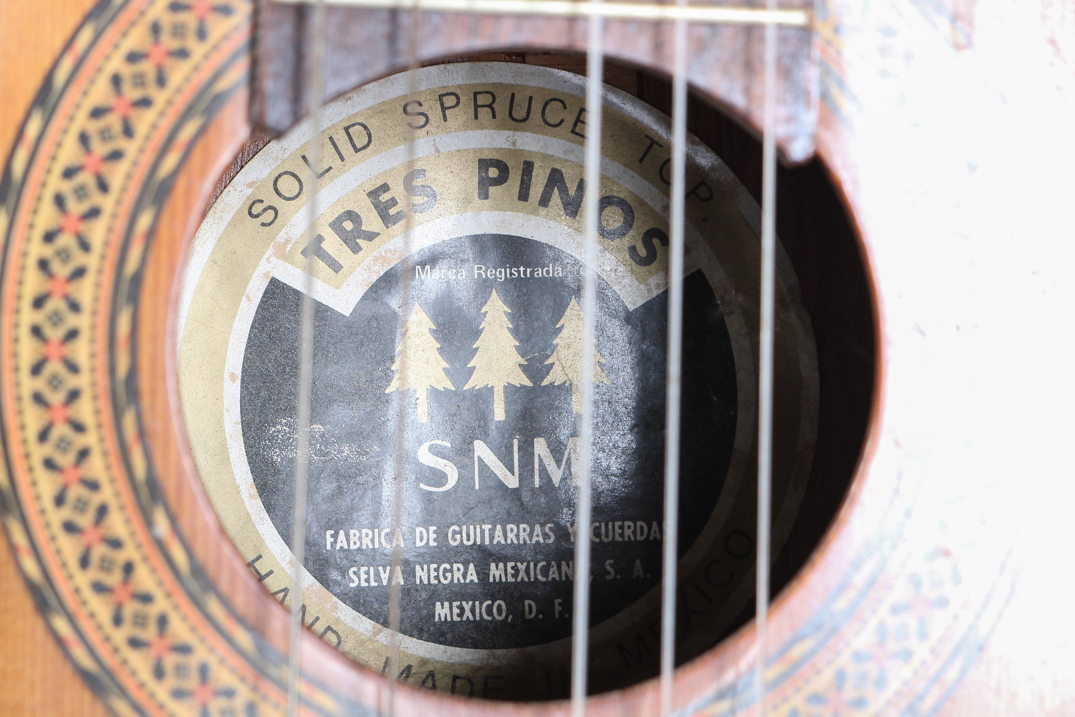 Selva Negra Mexicana Tres Pinos Classical Style Acoustic Guitar