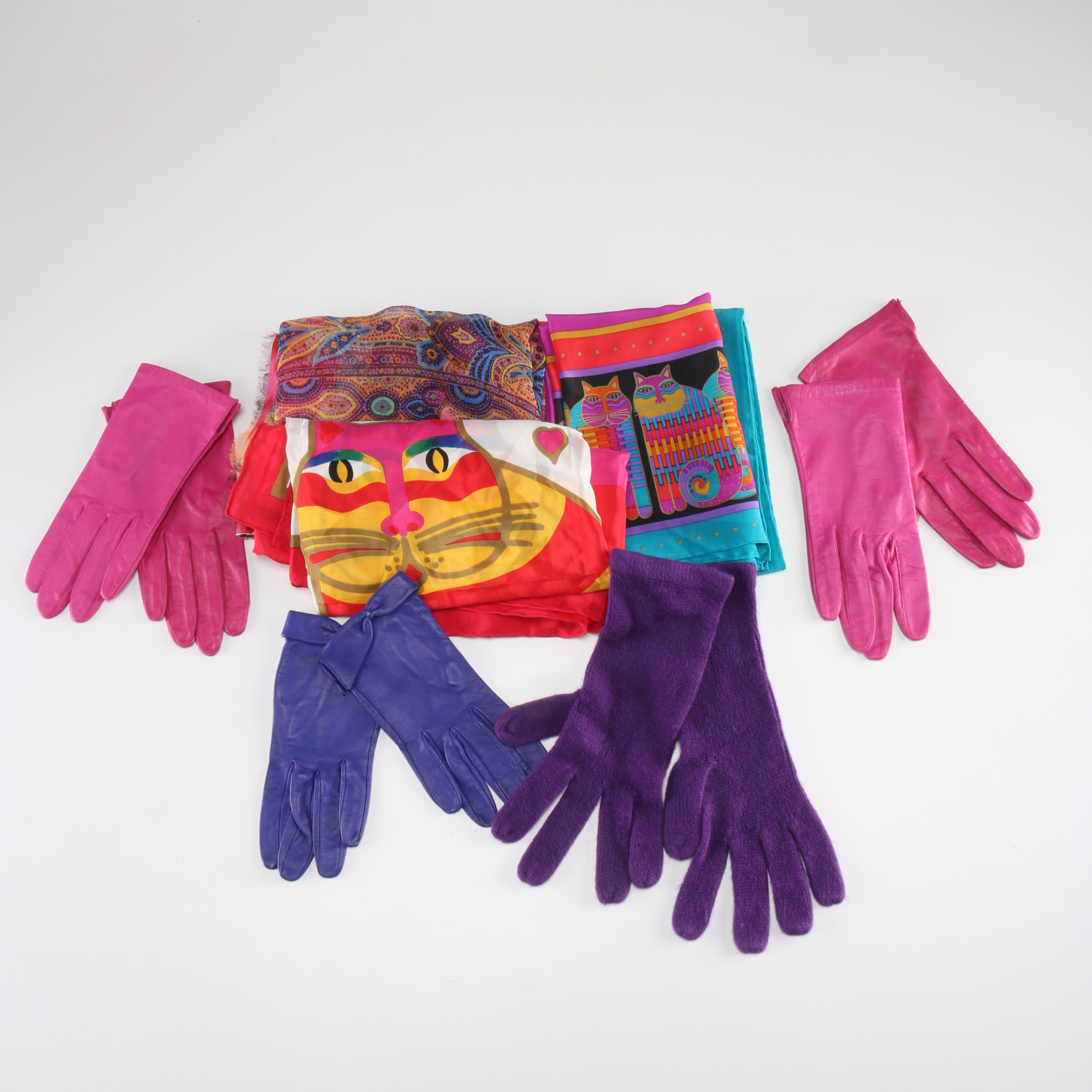 Collection of Scarves and Gloves