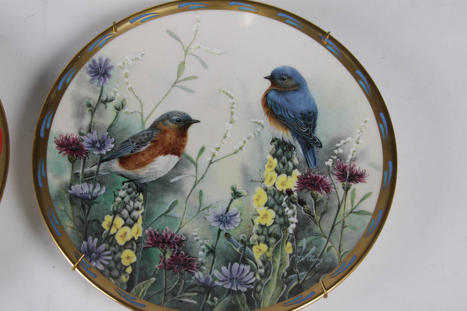 Catherine McClung Lenox "Nature's Collage" Plate Collection