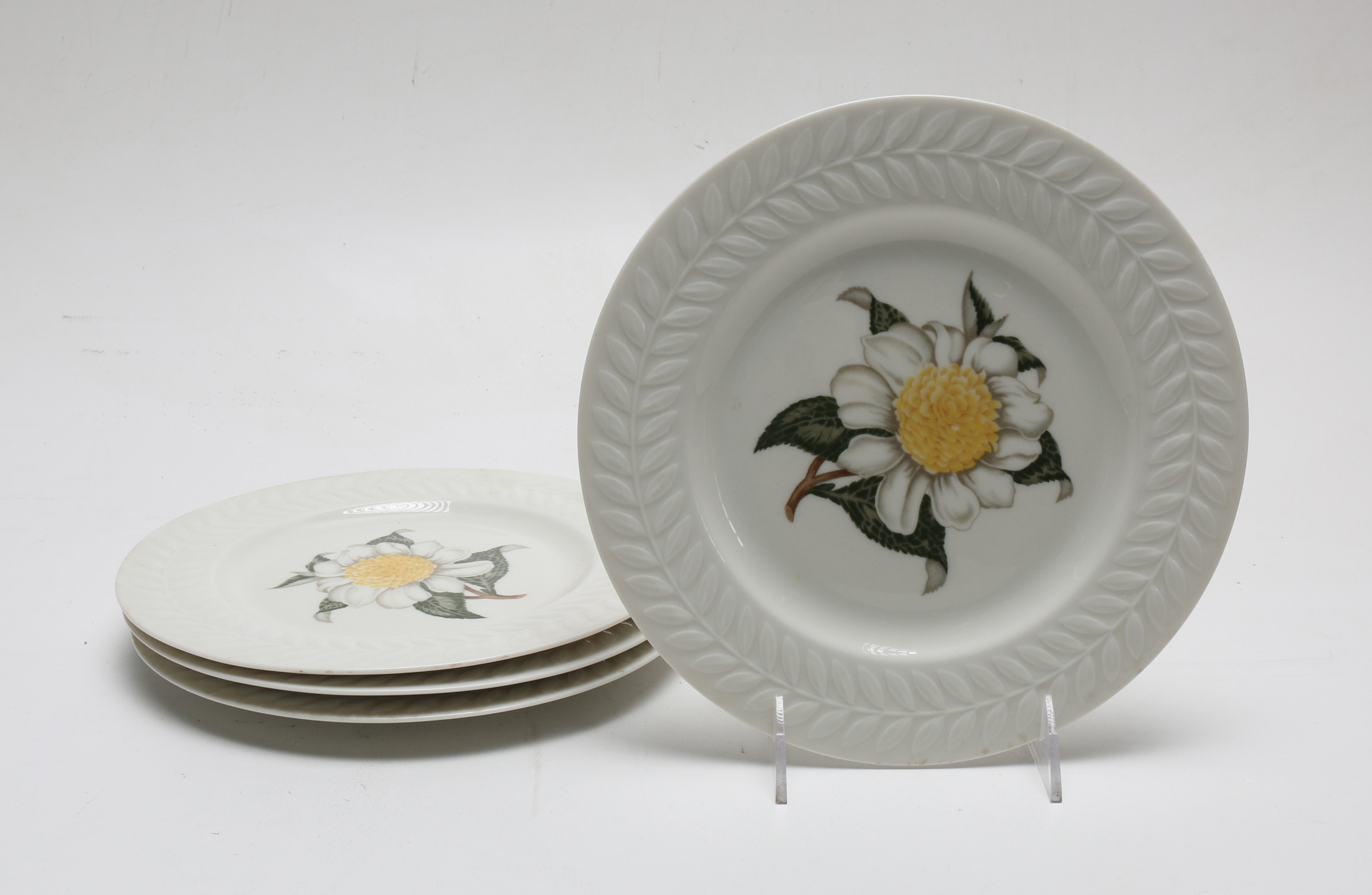 American Haviland China in the "Camellia" Pattern