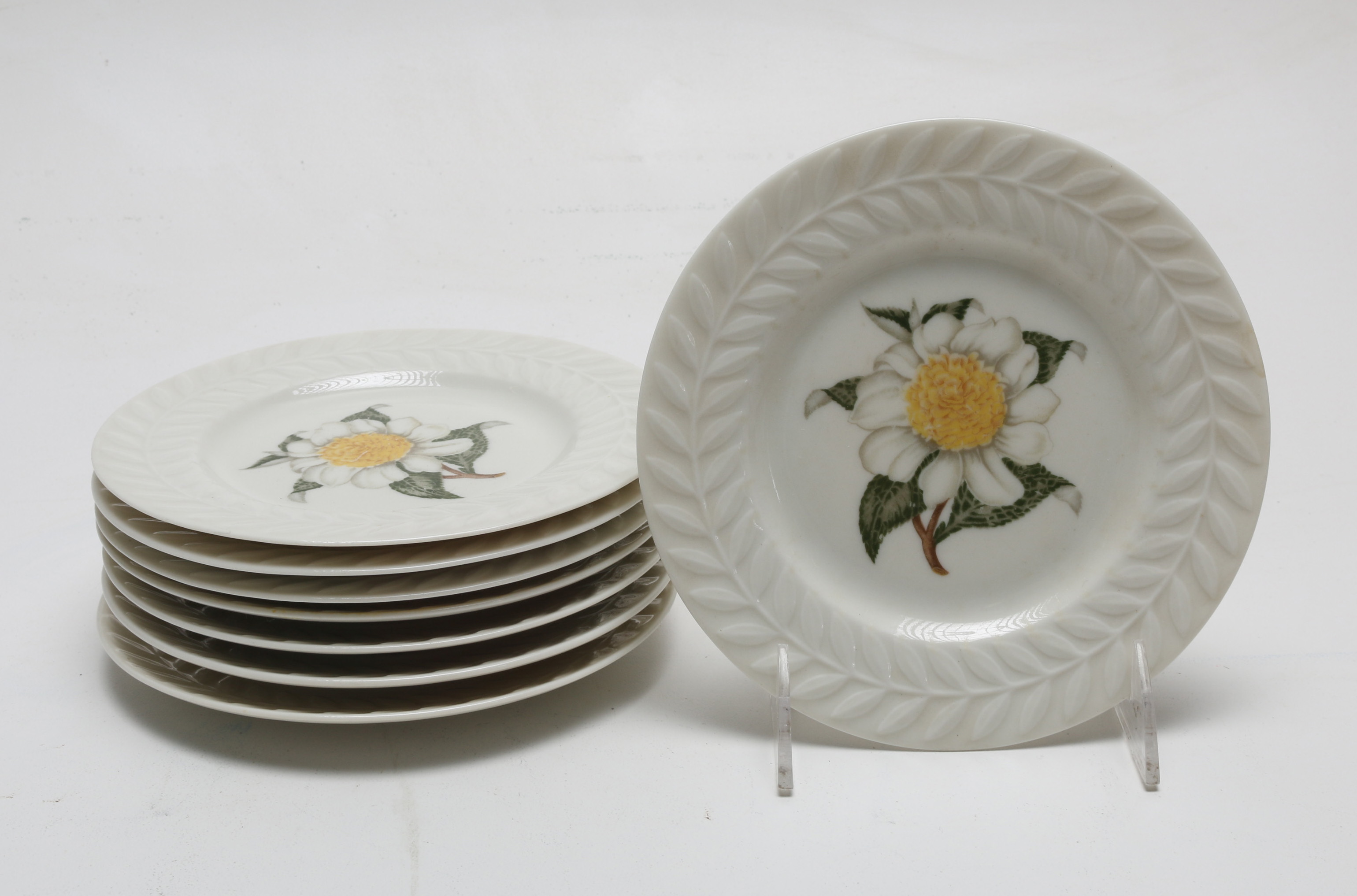 American Haviland China in the "Camellia" Pattern