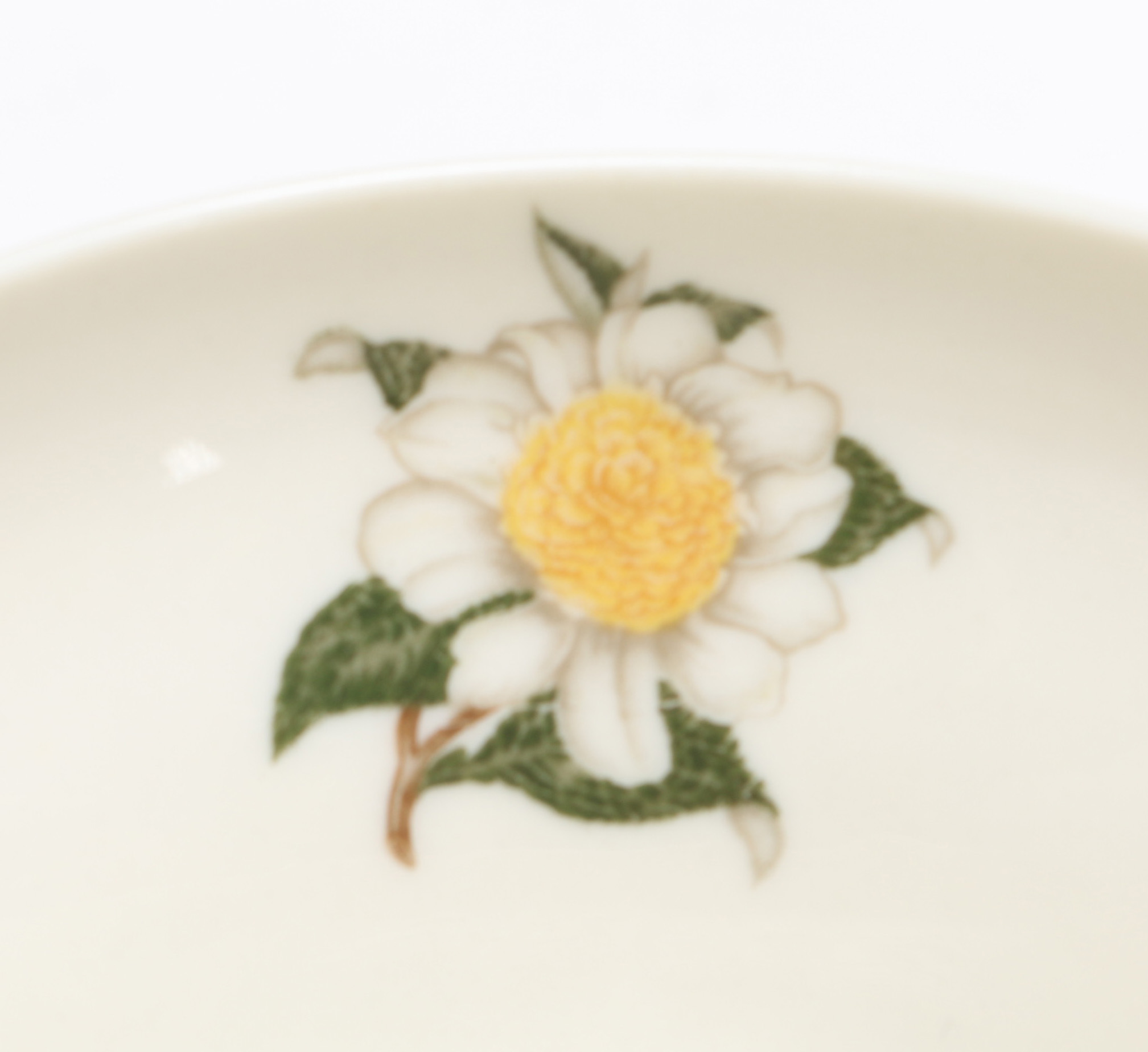 American Haviland China in the "Camellia" Pattern