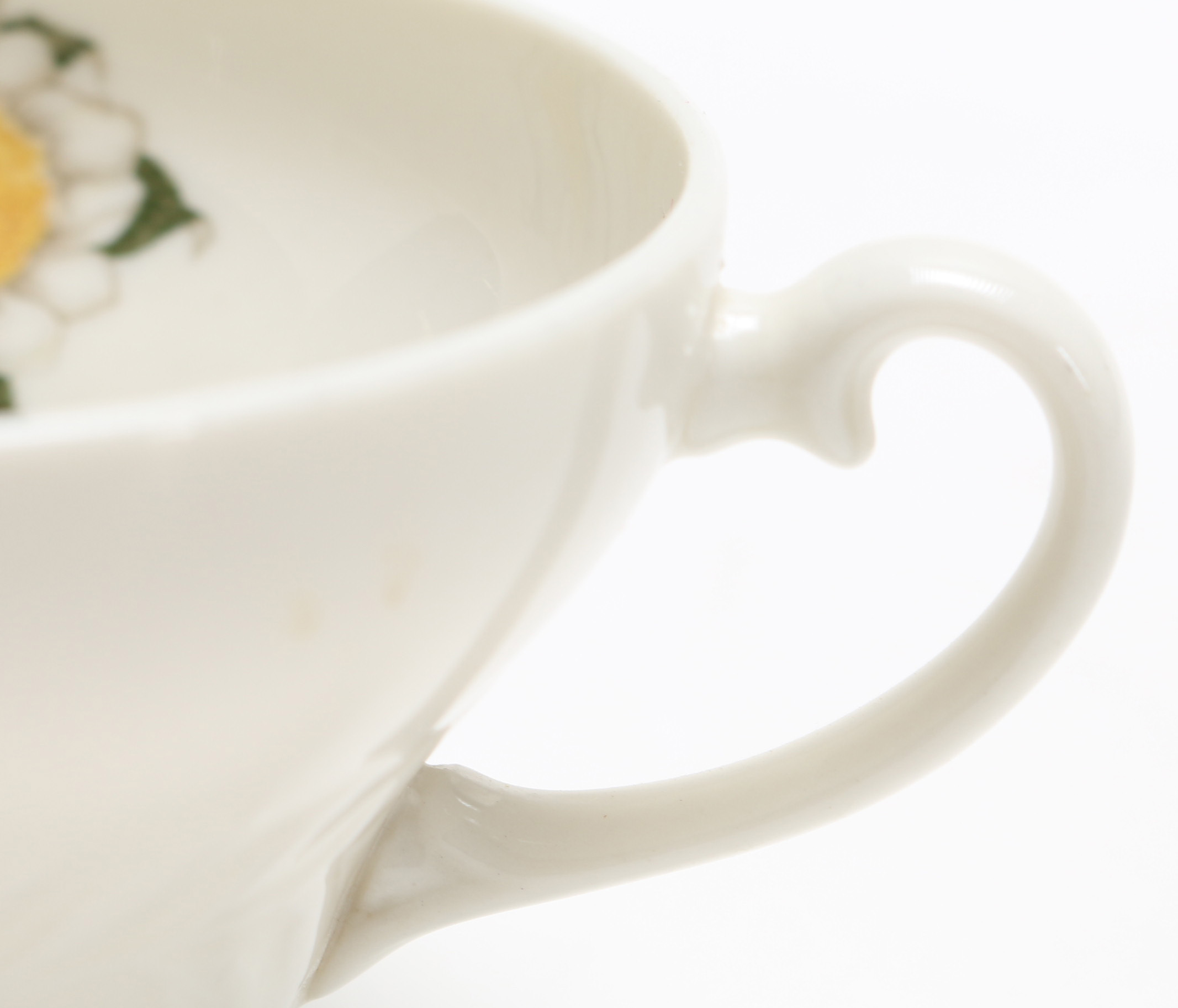 American Haviland China in the "Camellia" Pattern