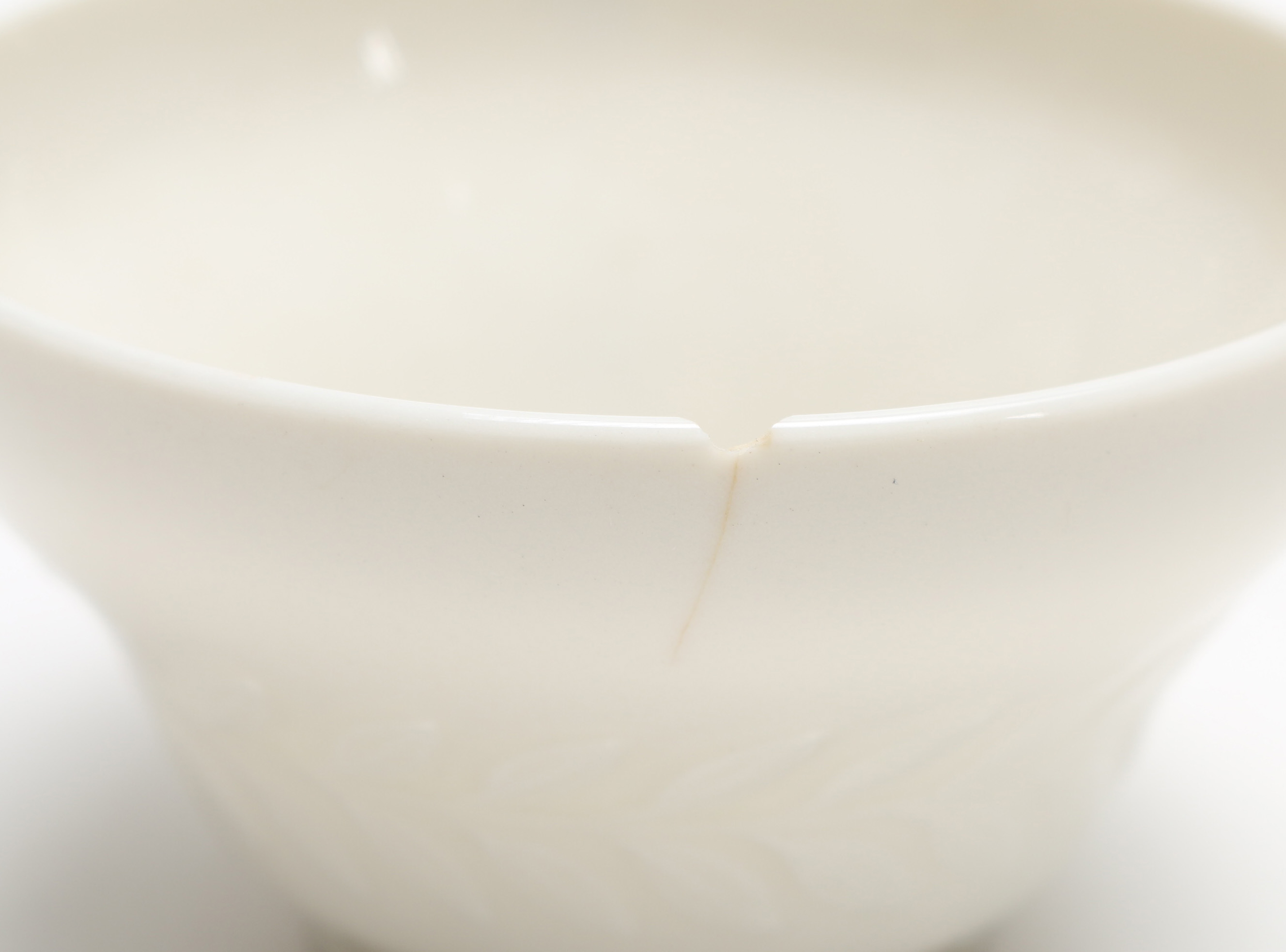 American Haviland China in the "Camellia" Pattern