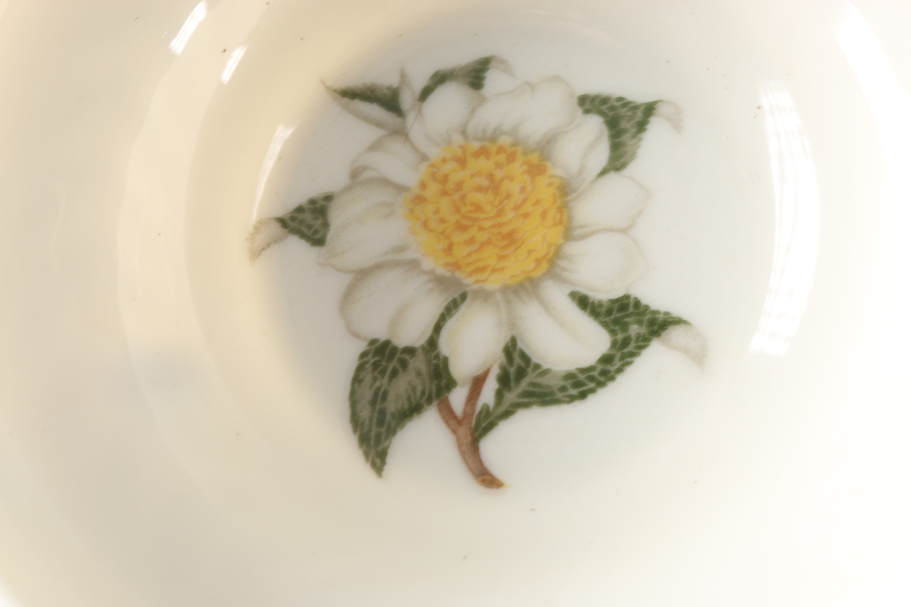 American Haviland China in the "Camellia" Pattern