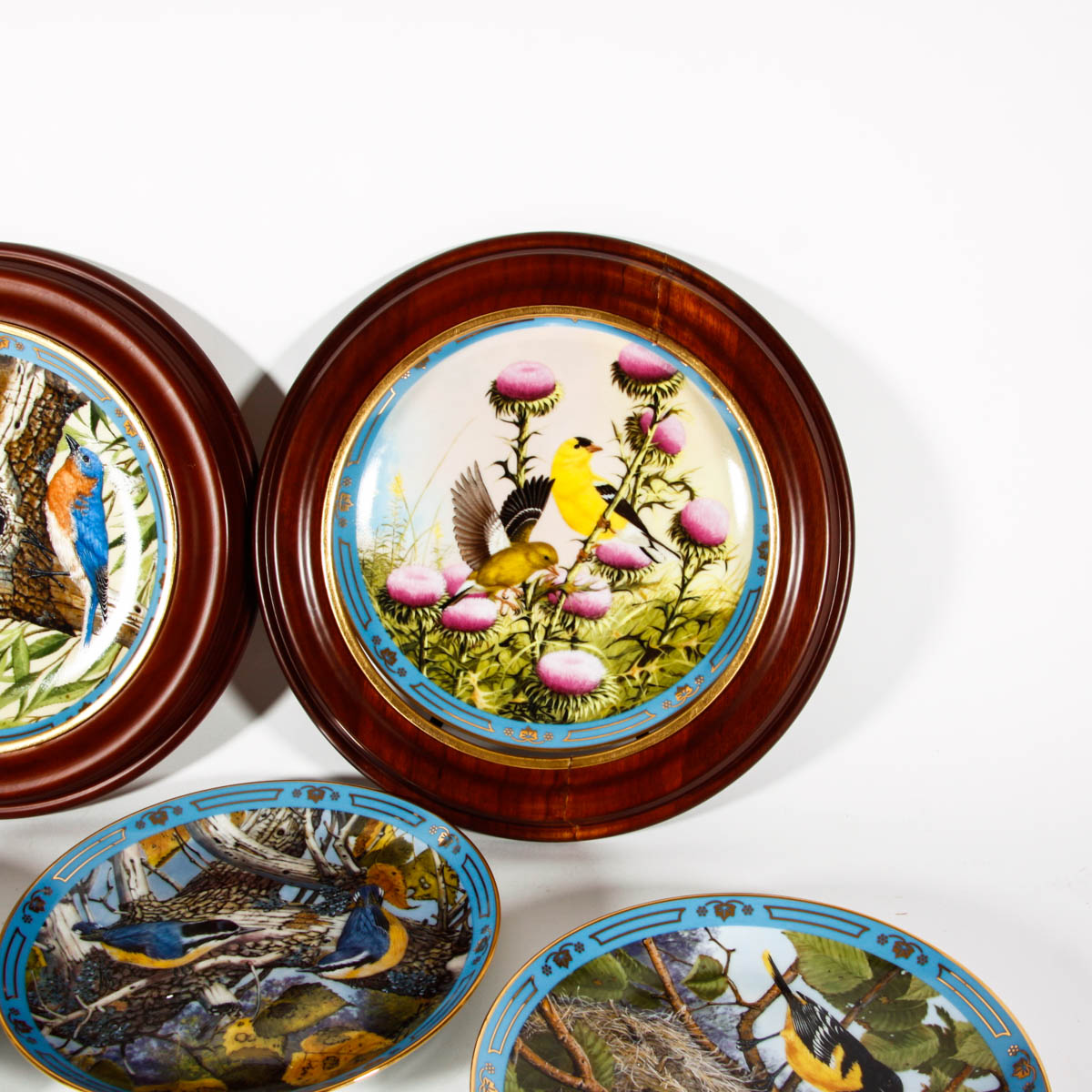 "Winged Treasures" Plate Collection By The Danbury Mint