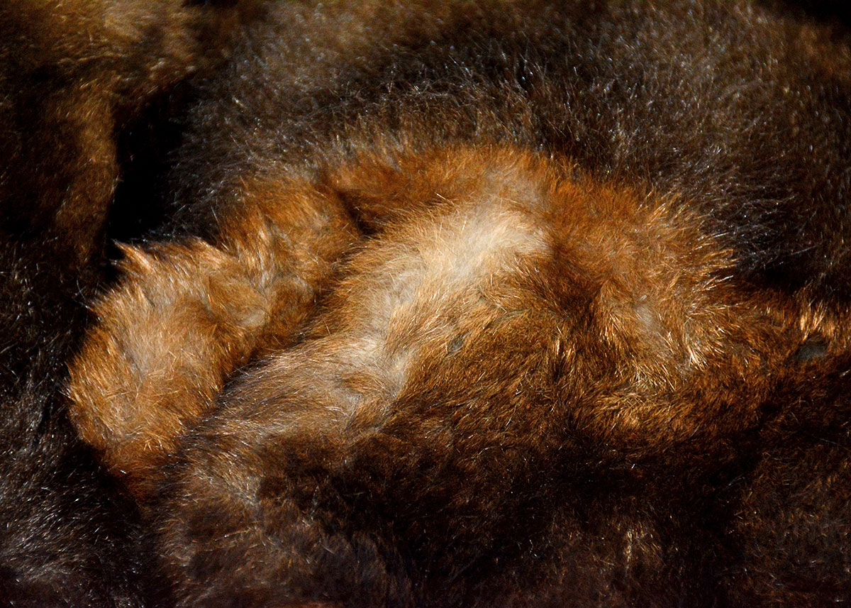 Australian Possum Fur Coat