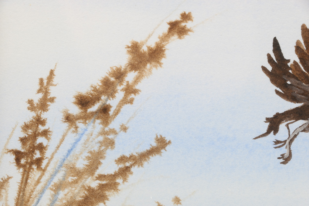 J. Metzler Watercolor of Birds