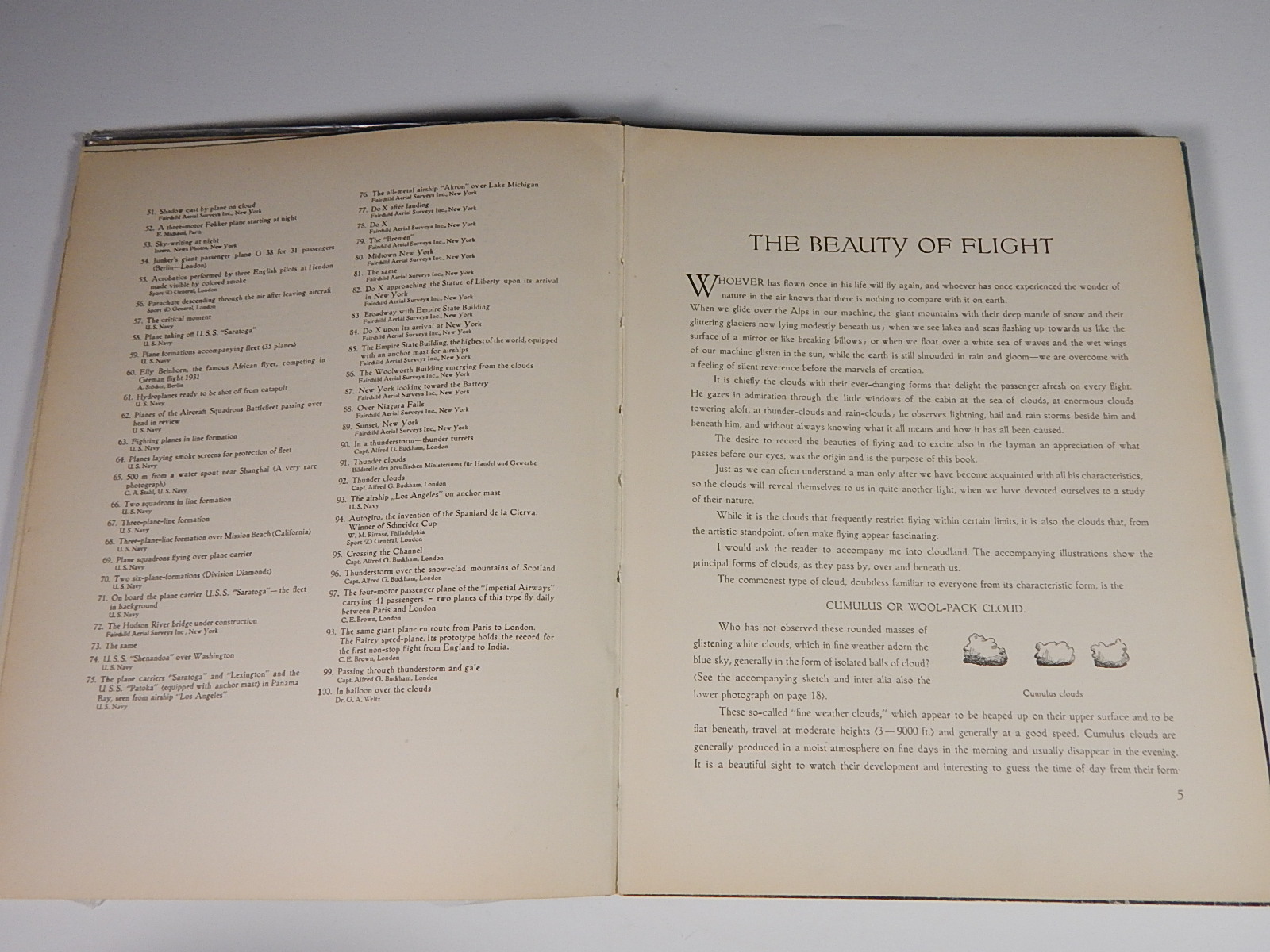 Vintage "The Beauty of Flight" by Manfred Curry