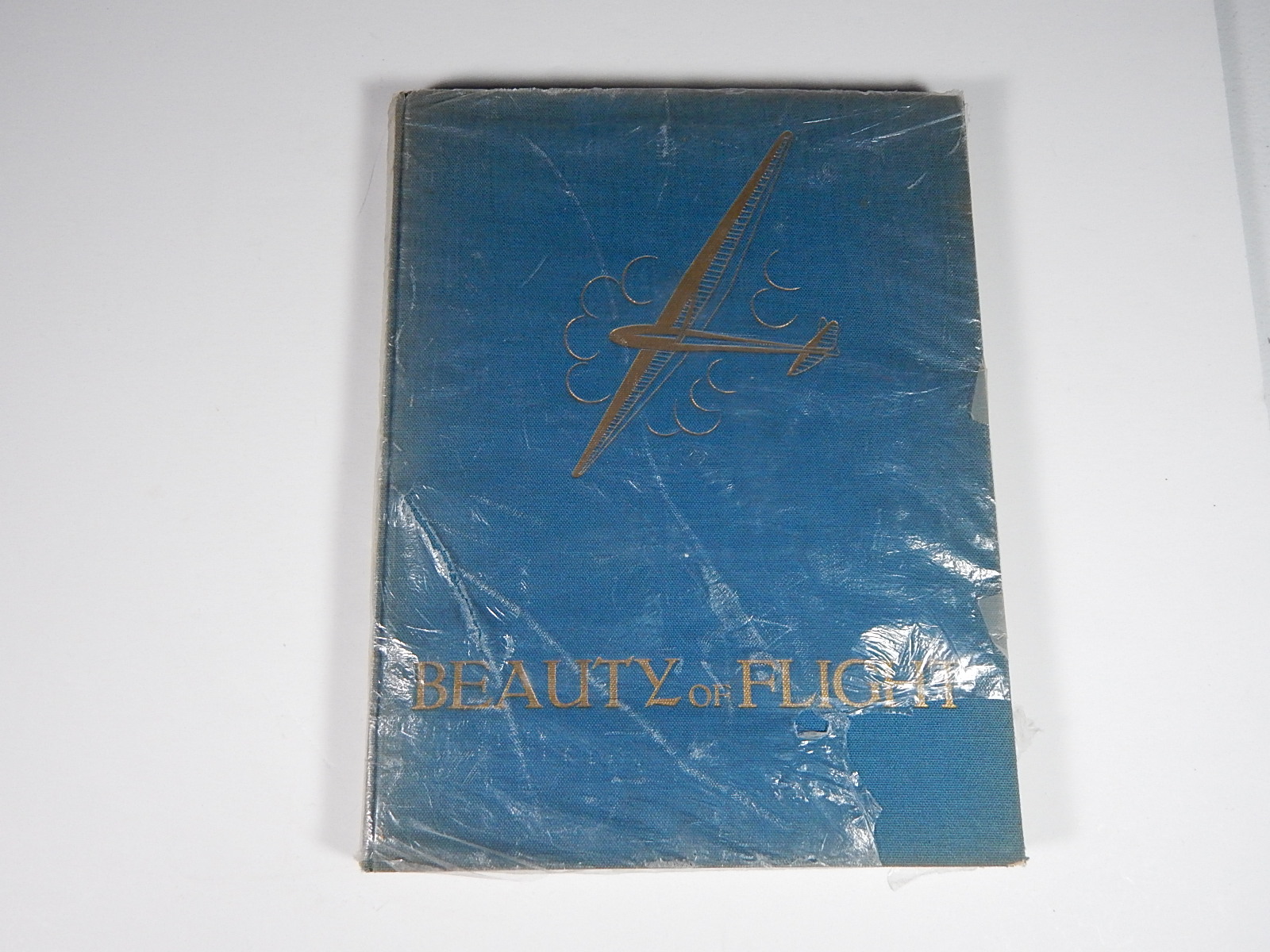 Vintage "The Beauty of Flight" by Manfred Curry