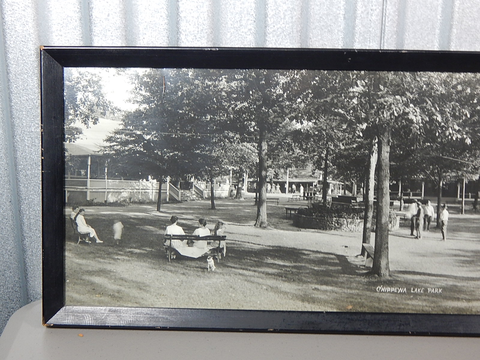 Framed Chippewa Lake Park Photograph