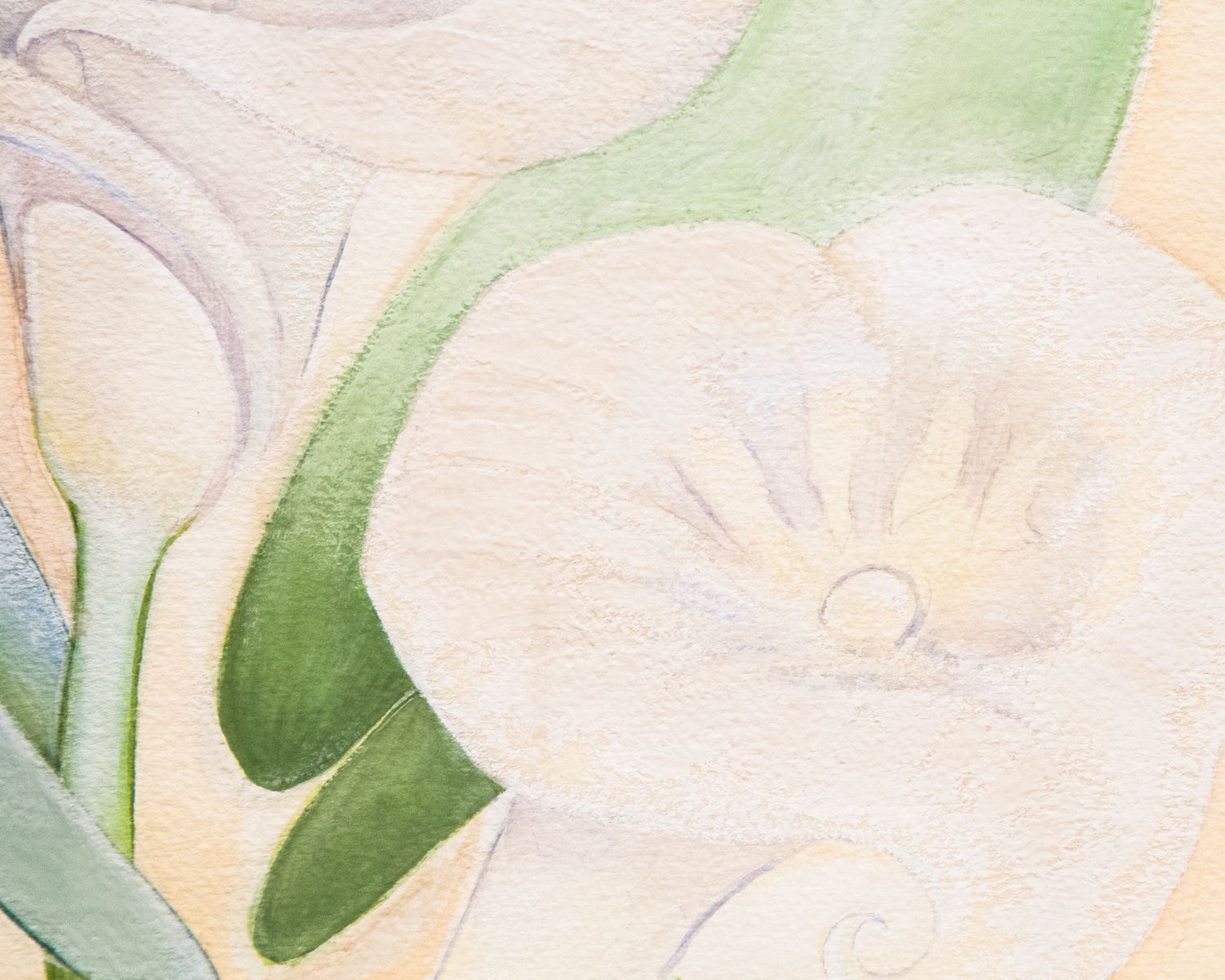 Watercolor of Calla Lilies By Julien Miville