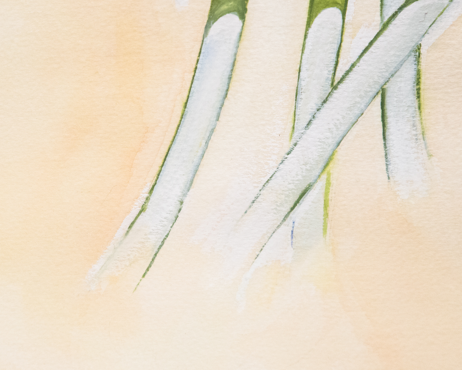 Watercolor of Calla Lilies By Julien Miville