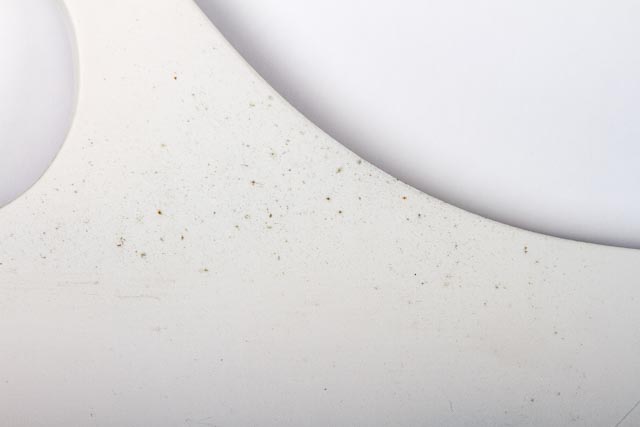 Georgian Style Mirror