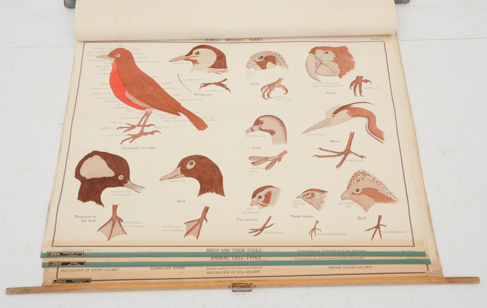 Pull-Down Science Class Diagrams