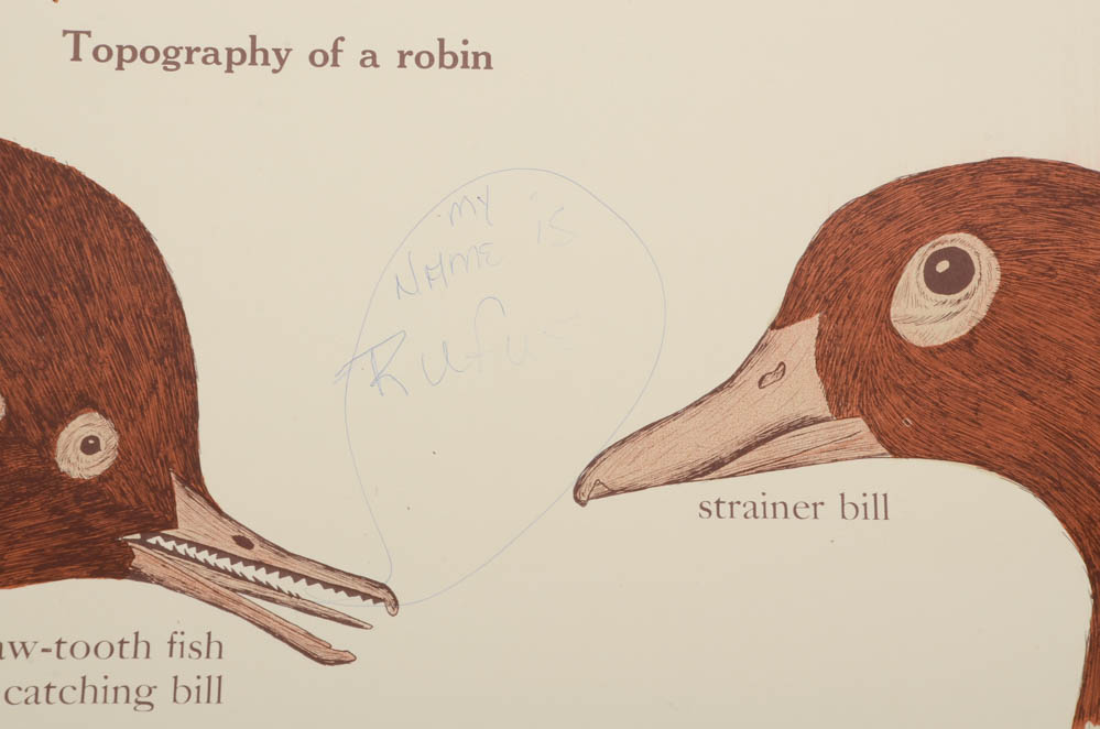 Pull-Down Science Class Diagrams