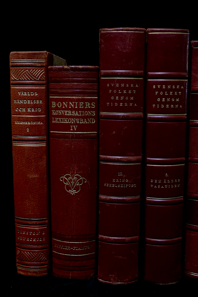 Vintage Leather Bound Book Collection