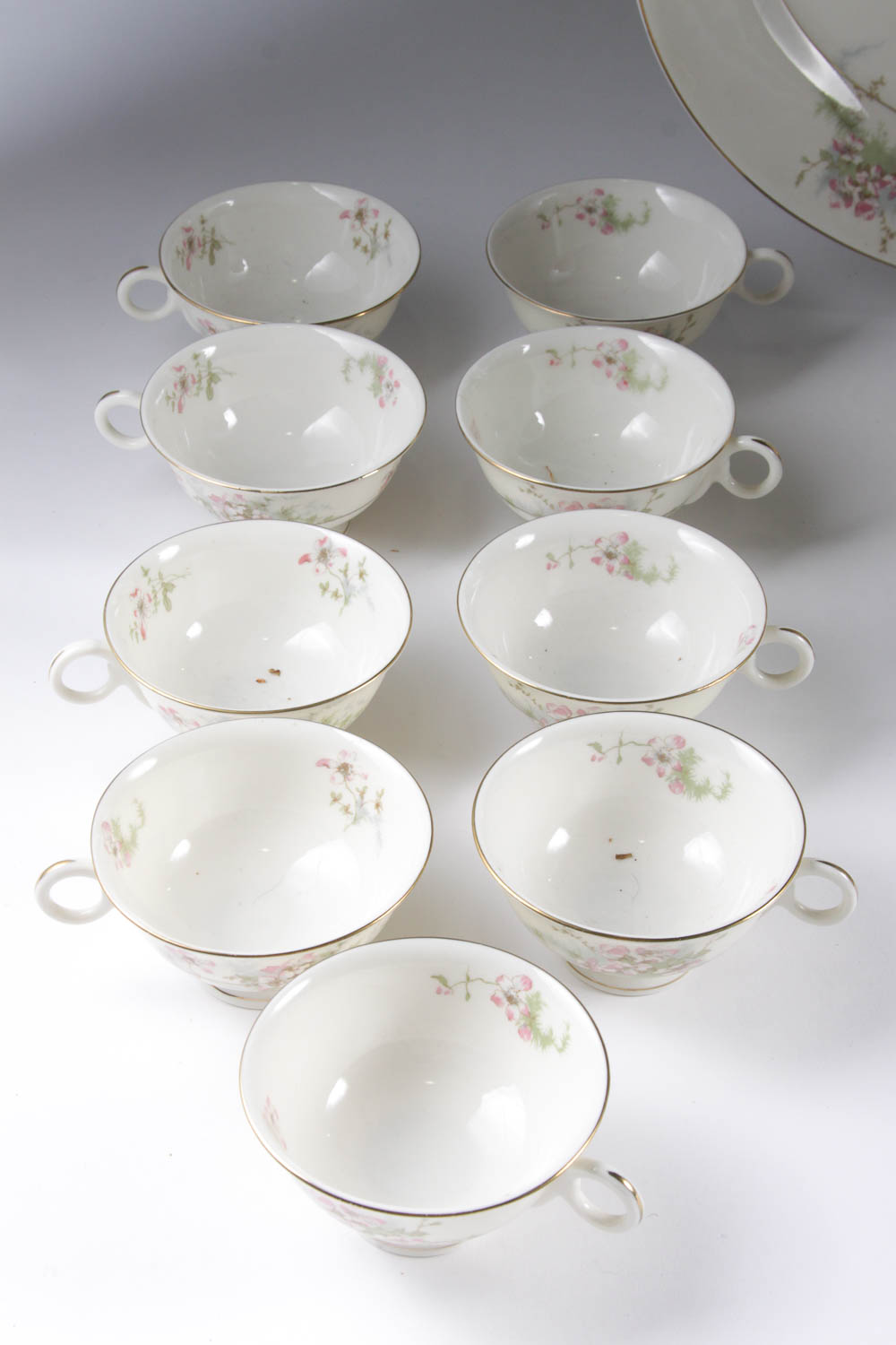 Set of Haviland China in "Apple Blossom" Pattern