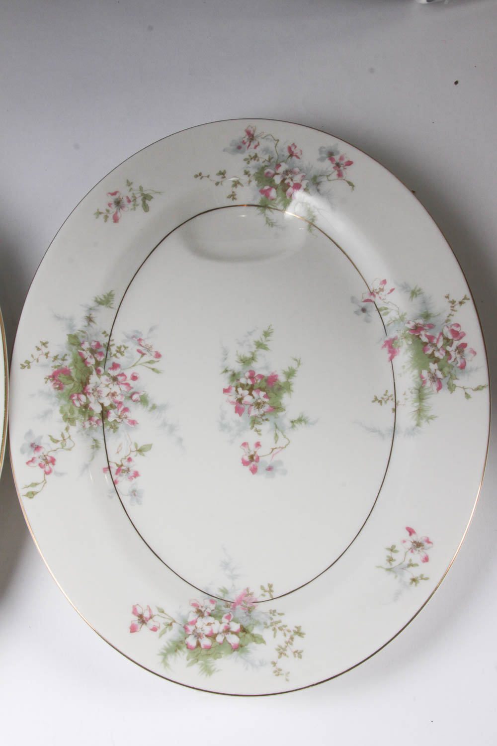 Set of Haviland China in "Apple Blossom" Pattern