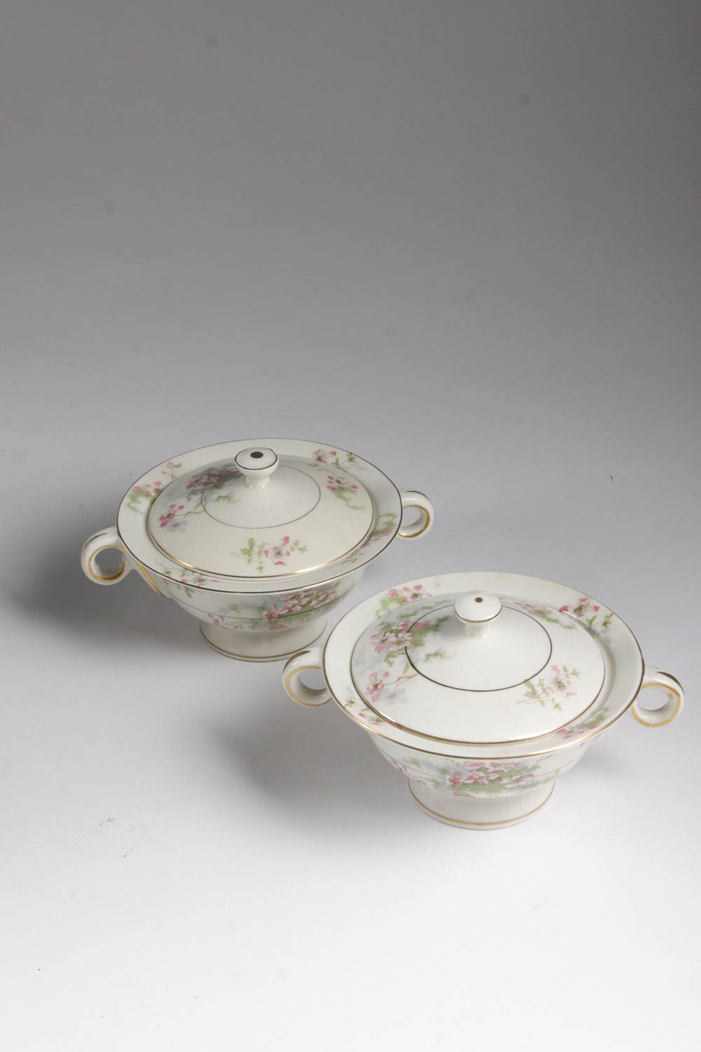 Set of Haviland China in "Apple Blossom" Pattern