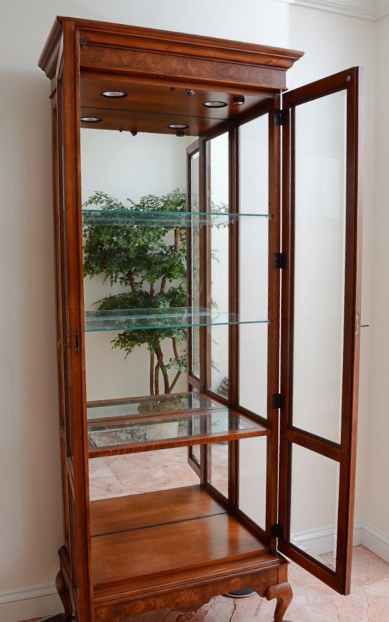 Lighted Curio Cabinet