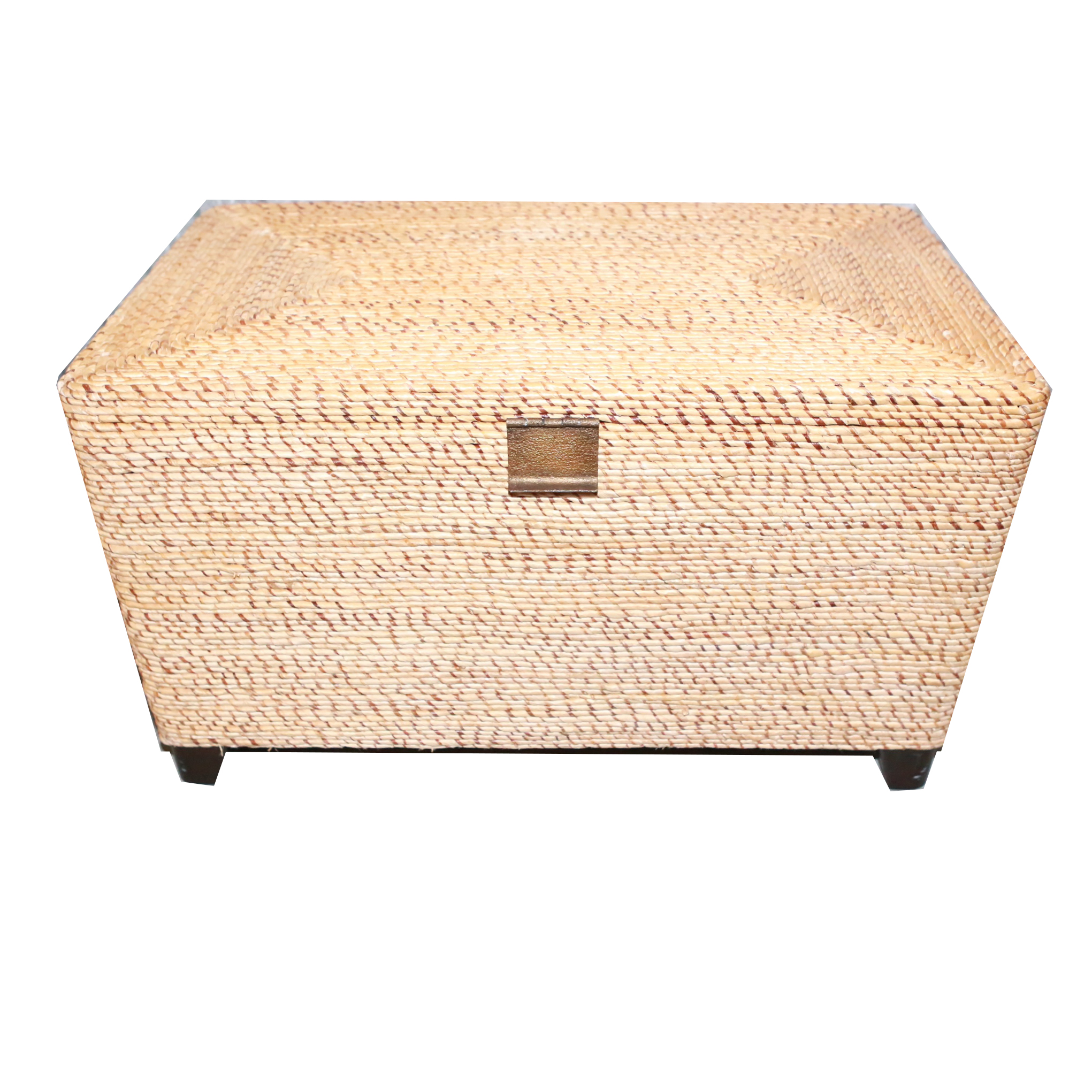 Pier 1 Imports Wicker Storage Chest